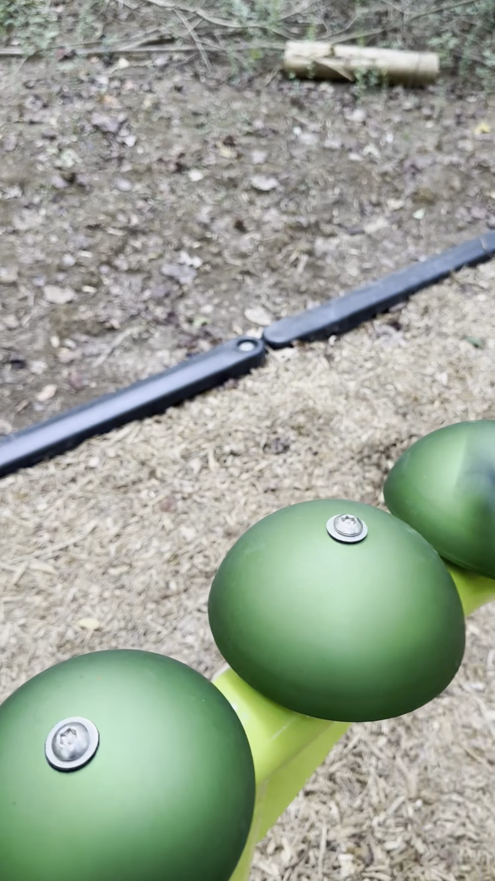 Angora Frog Farm and Dog Park - Powell, TN