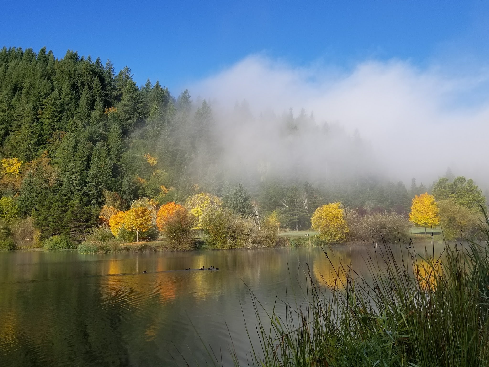 Powers County Park - Powers, OR
