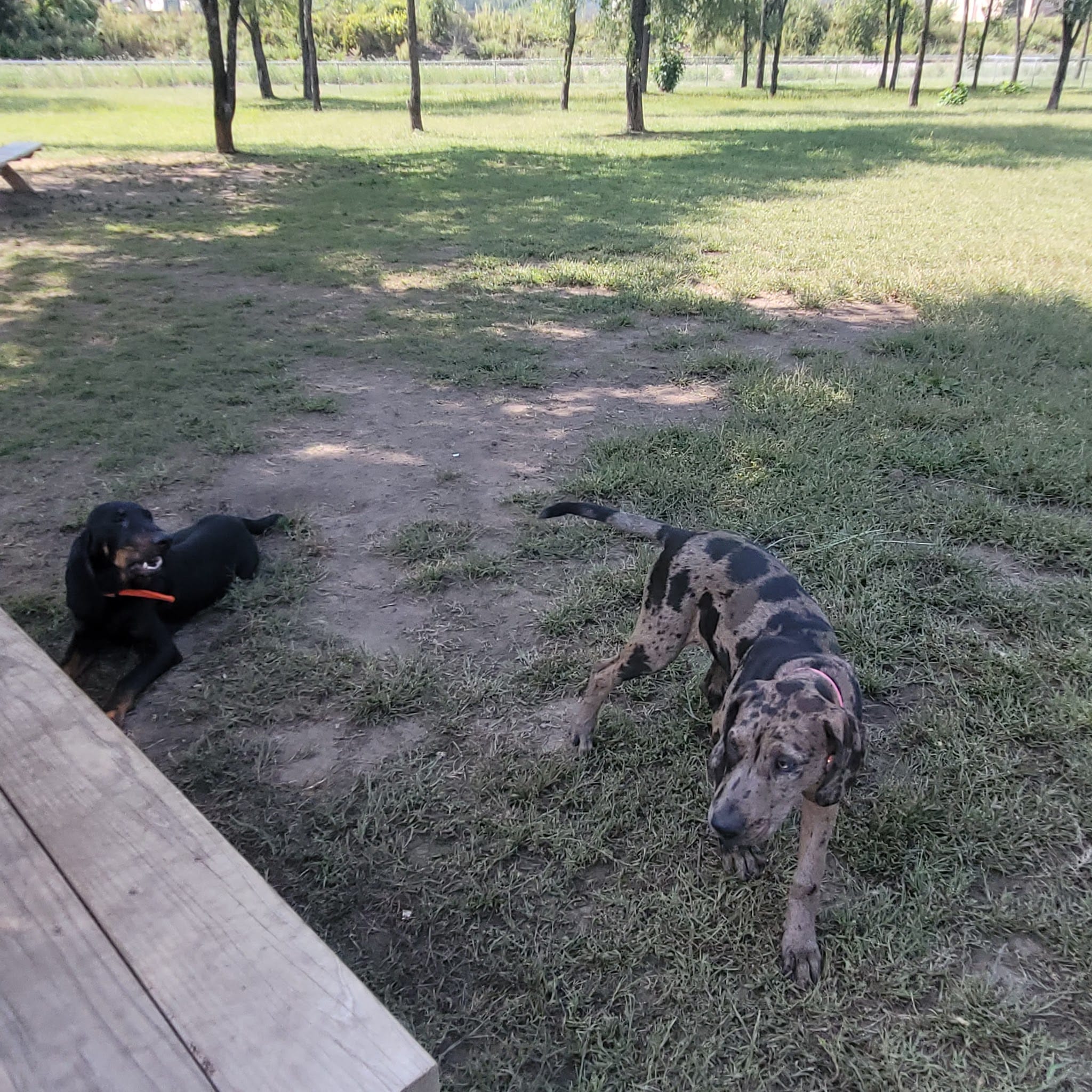 Dog Park - Prairie du Chien, WI