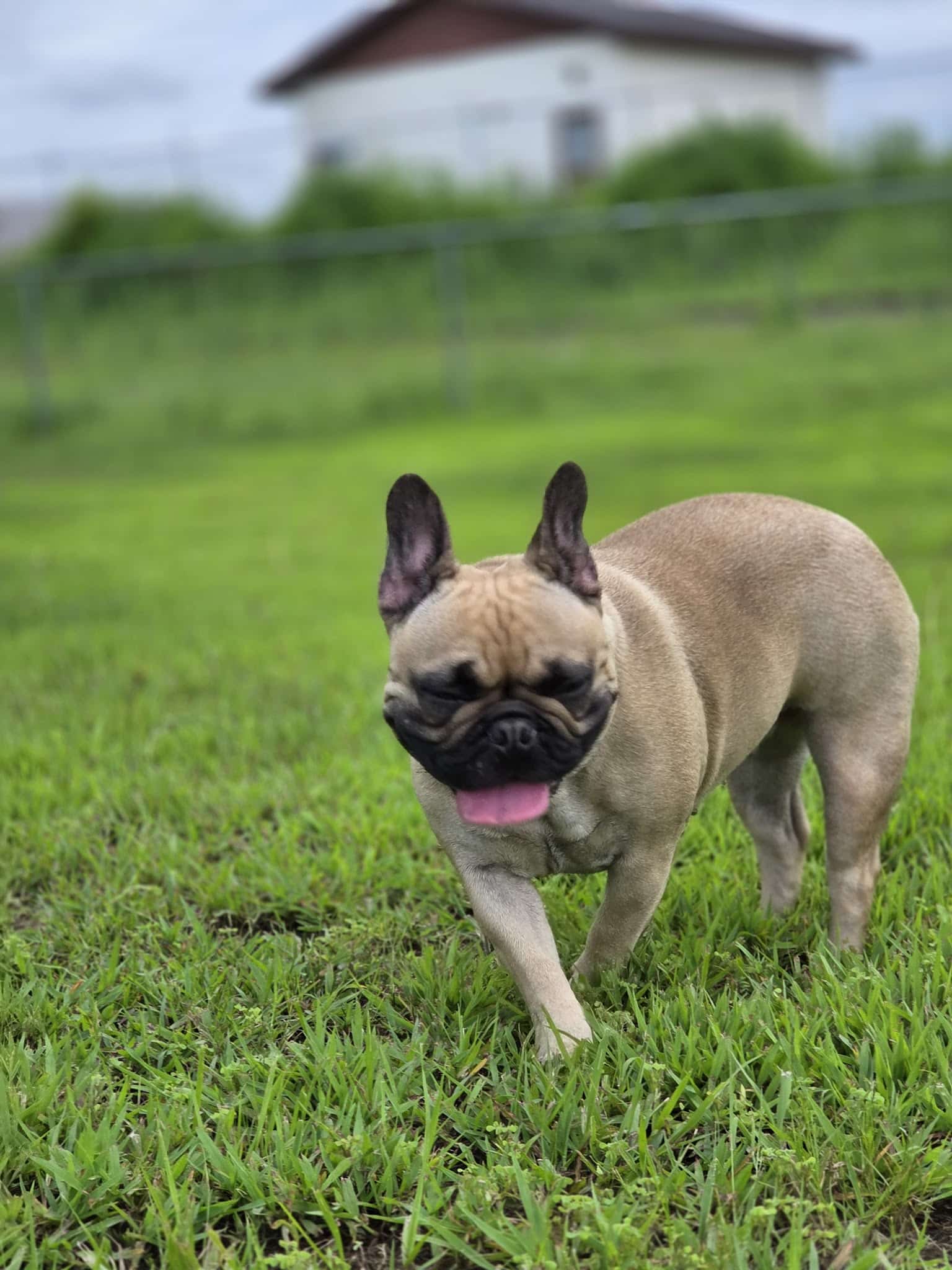 Dog Park - Prairie du Chien, WI