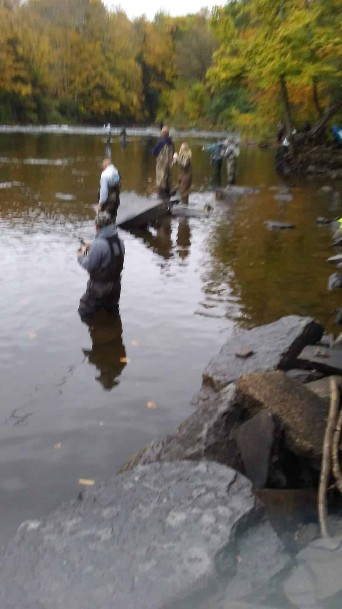 Pulaski Village South Park - Pulaski, NY