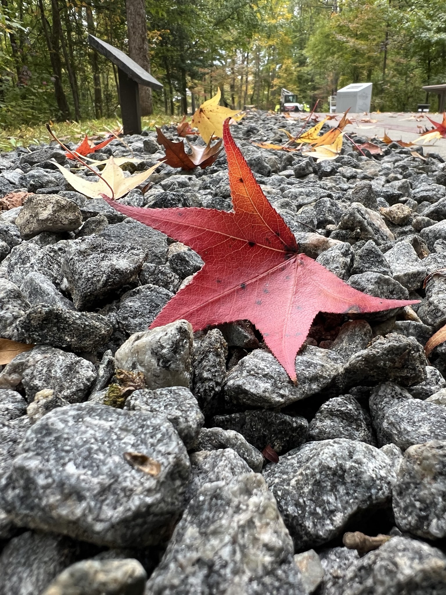 Devil Dog Trail - Quantico, VA