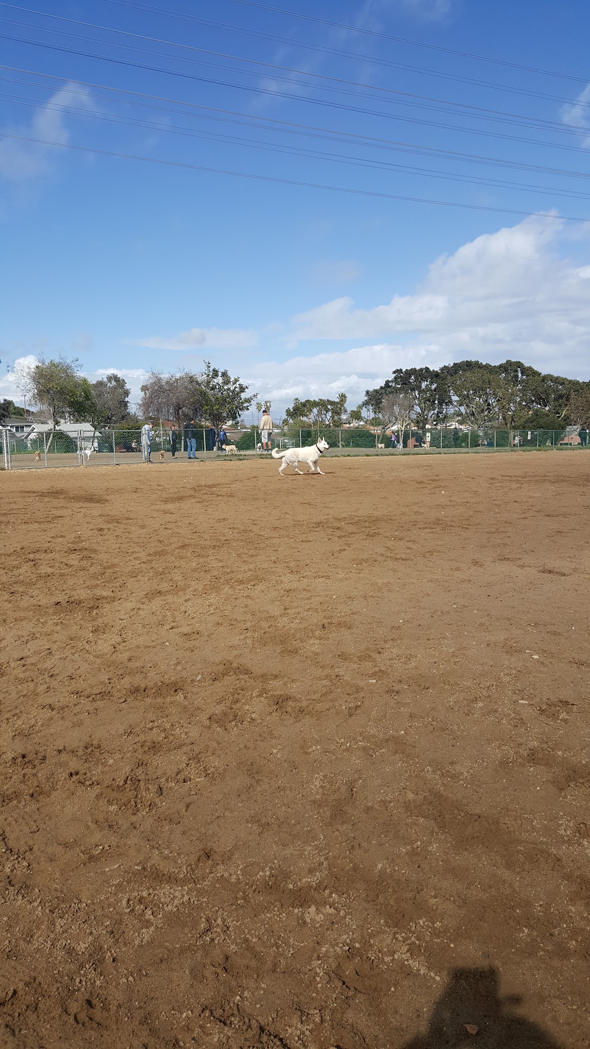 Redondo Beach Dog Park - Redondo Beach, CA