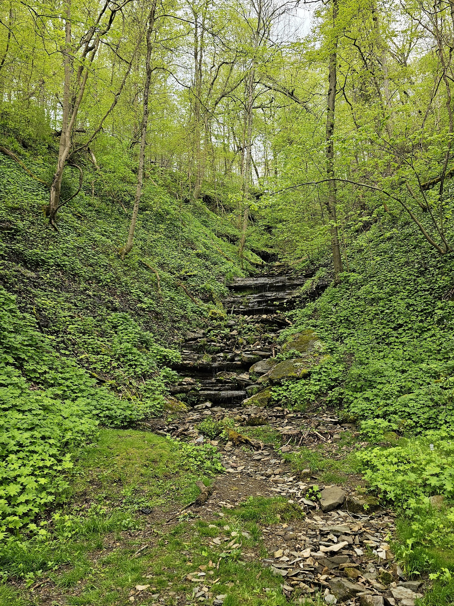Greene River Trail: Rices Landing Trailhead - Rices Landing, PA