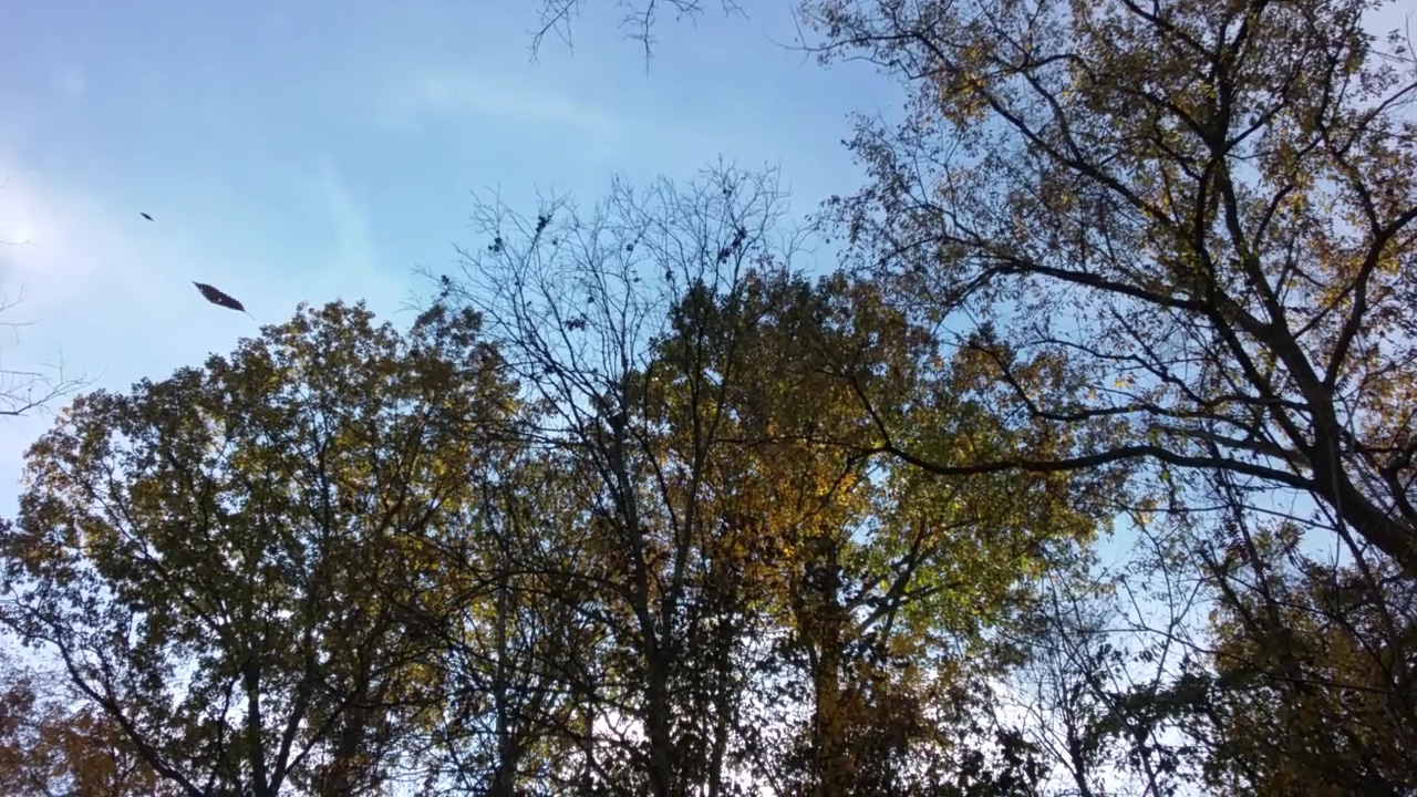 Greene River Trail: Rices Landing Trailhead - Rices Landing, PA