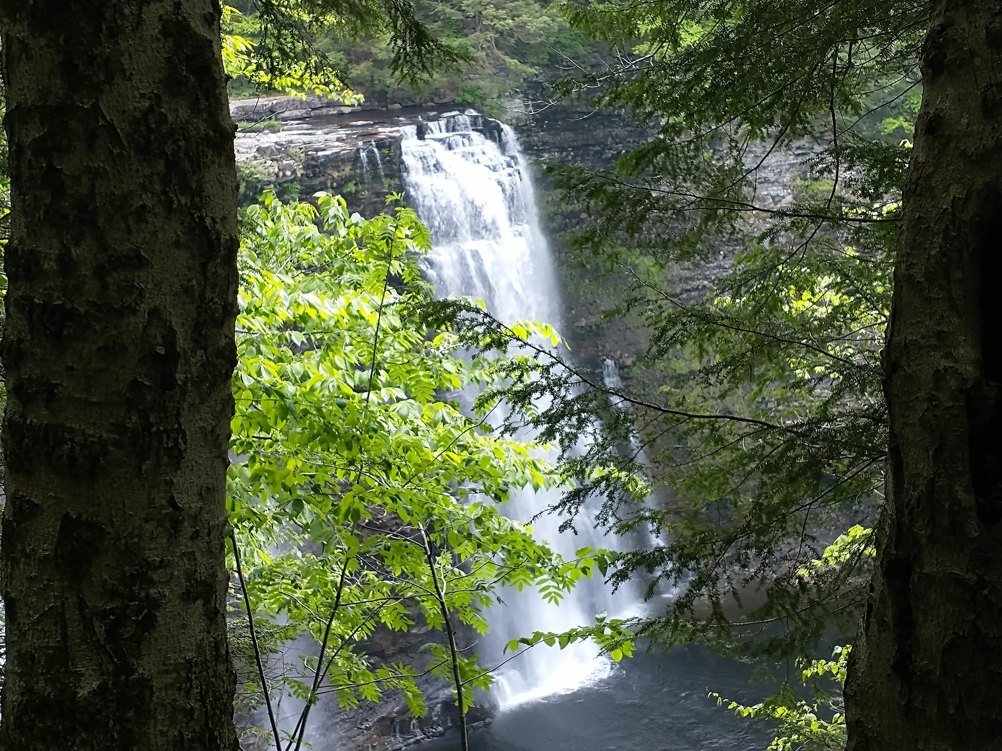 Salmon River Falls Unique Area - Richland, NY