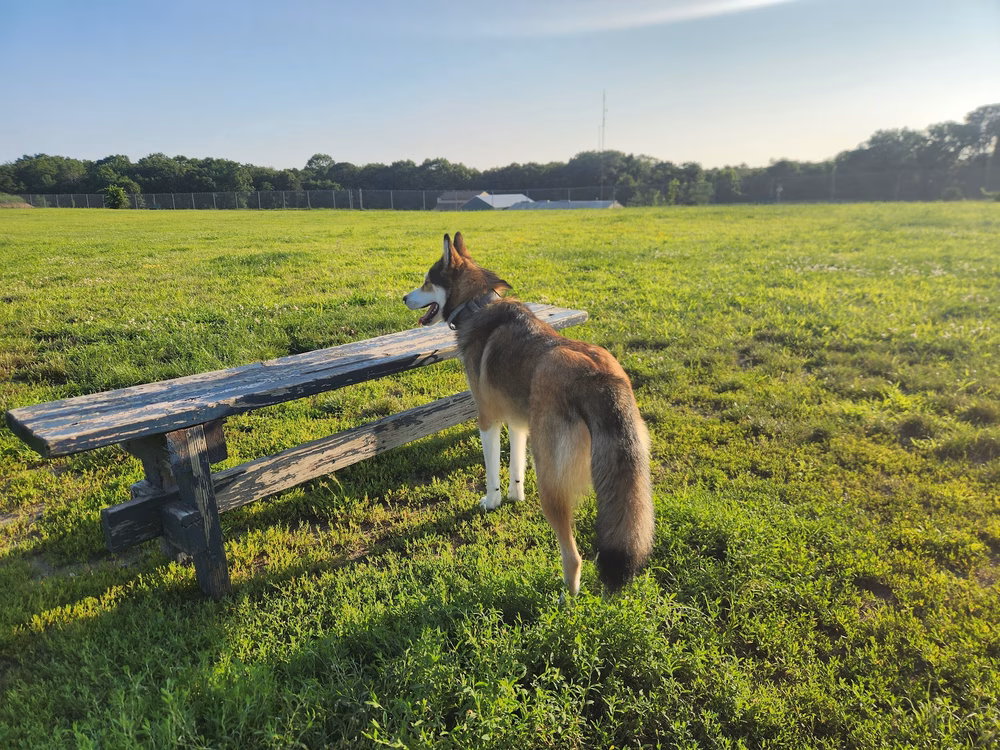 Richmond Dog Park - Richmond, RI