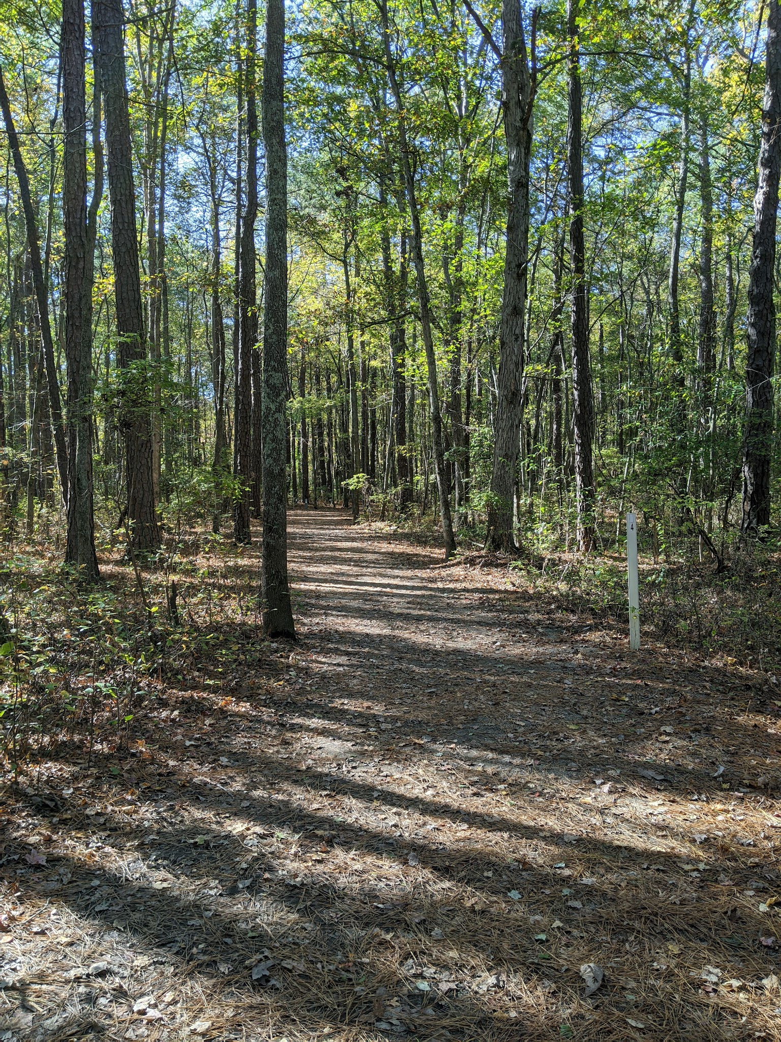Huguenot Park - Richmond, VA