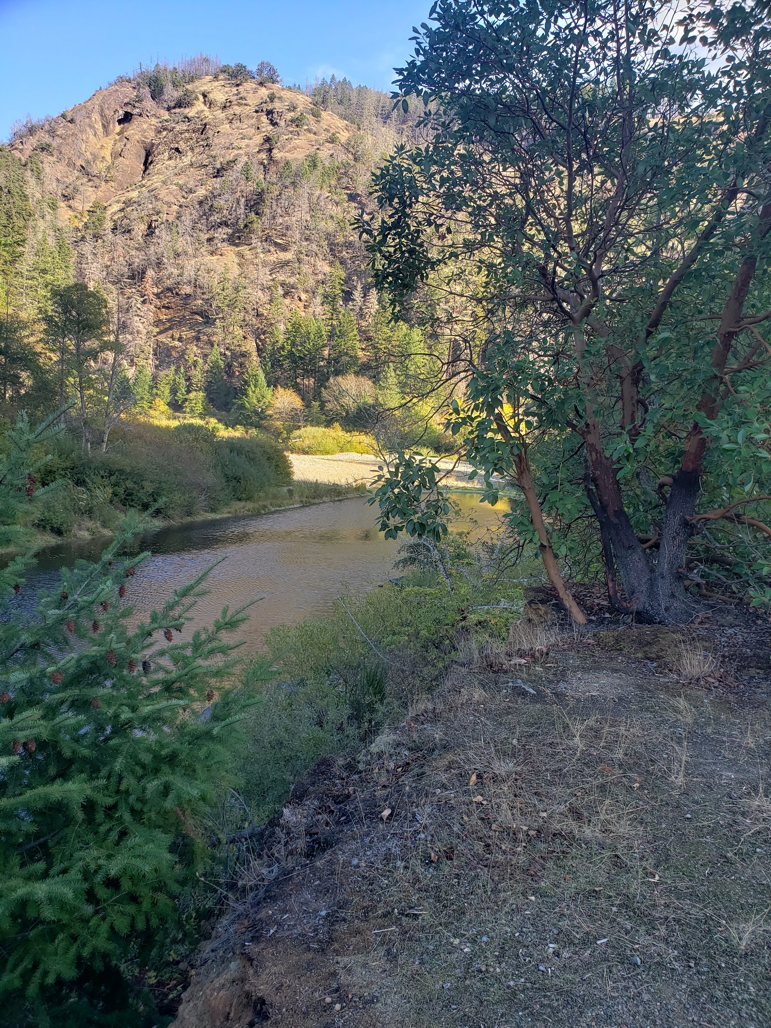 ISLAND CREEK DAY USE - Riddle, OR