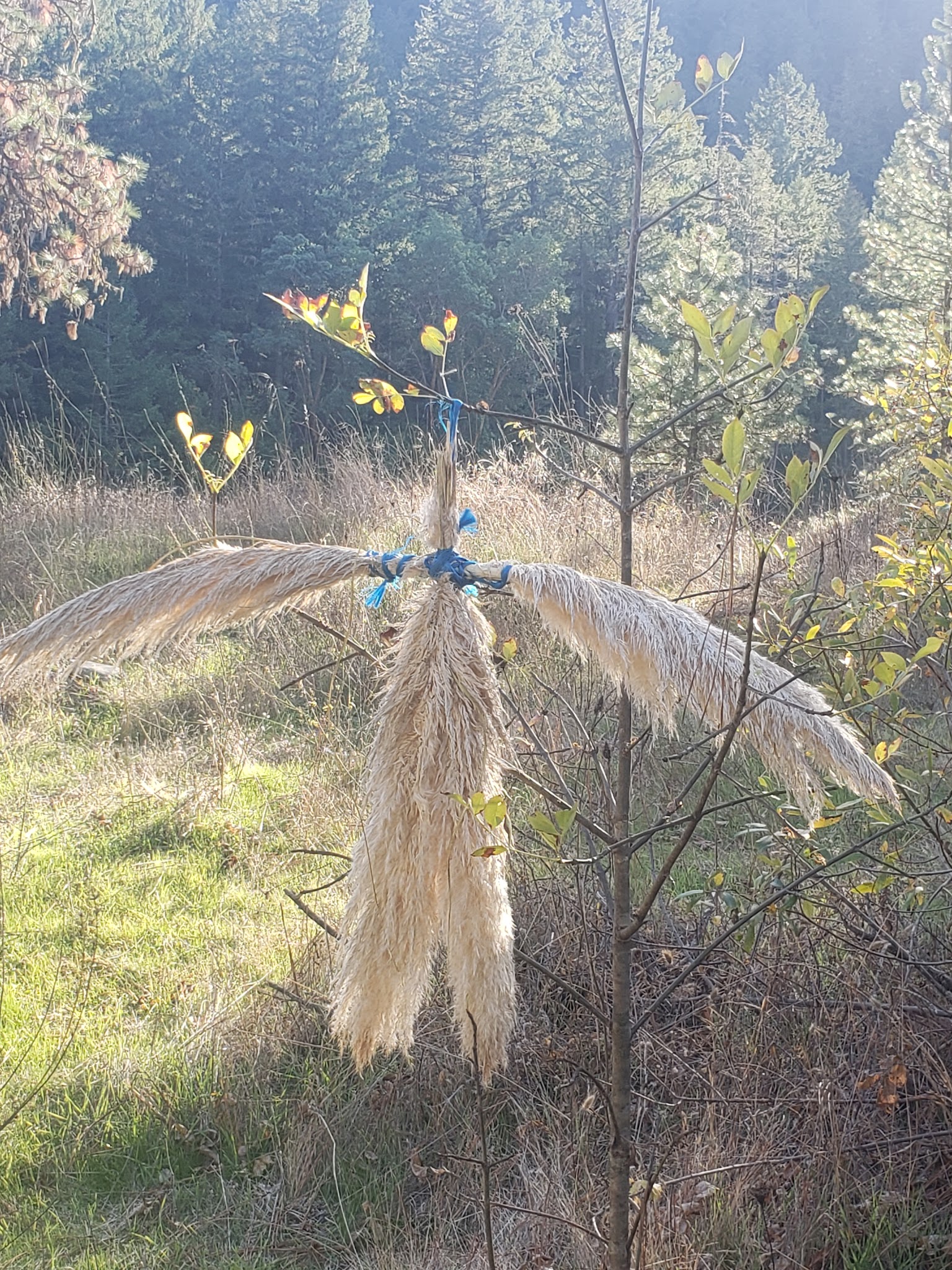 ISLAND CREEK DAY USE - Riddle, OR