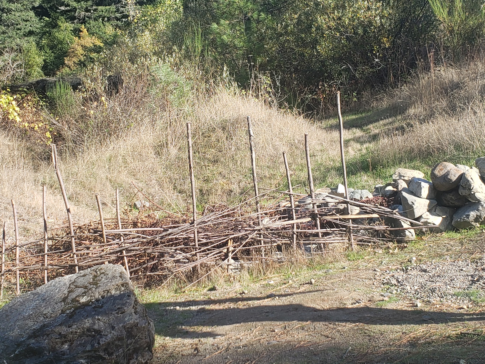 ISLAND CREEK DAY USE - Riddle, OR