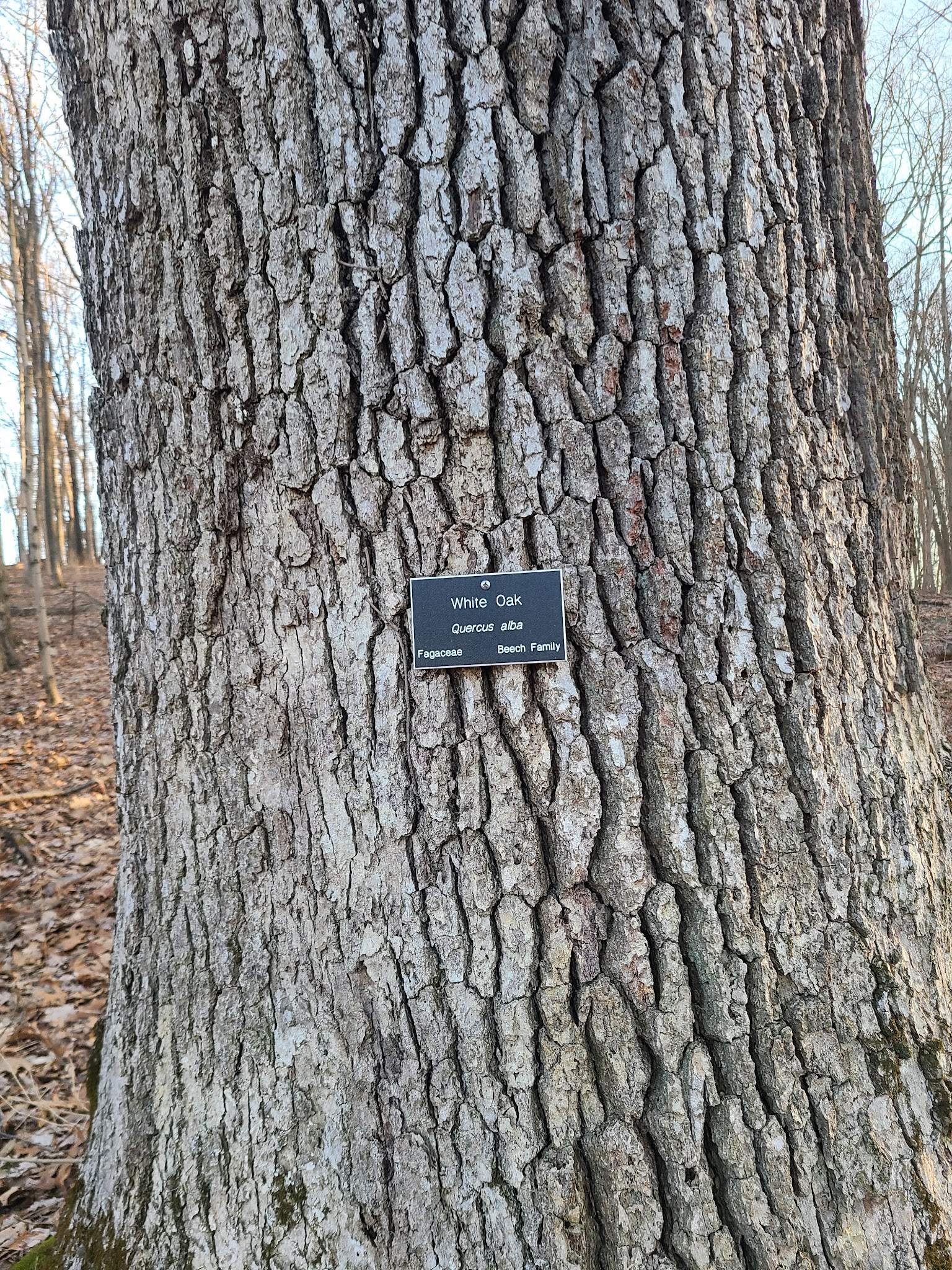 Heritage Conservancy Fuller Preserve Jere Knight Nature Trail - Riegelsville, PA