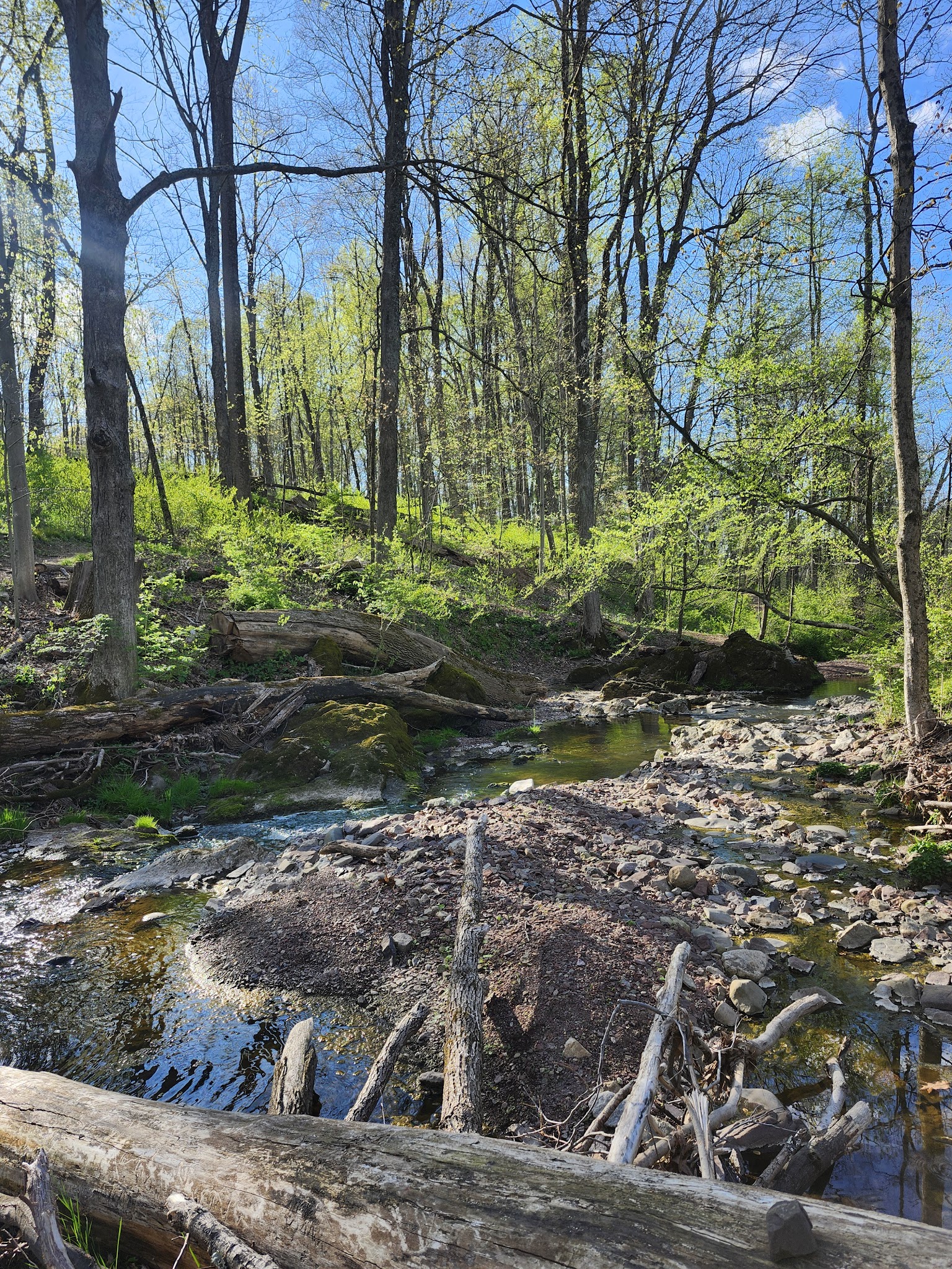 Heritage Conservancy Fuller Preserve Jere Knight Nature Trail - Riegelsville, PA