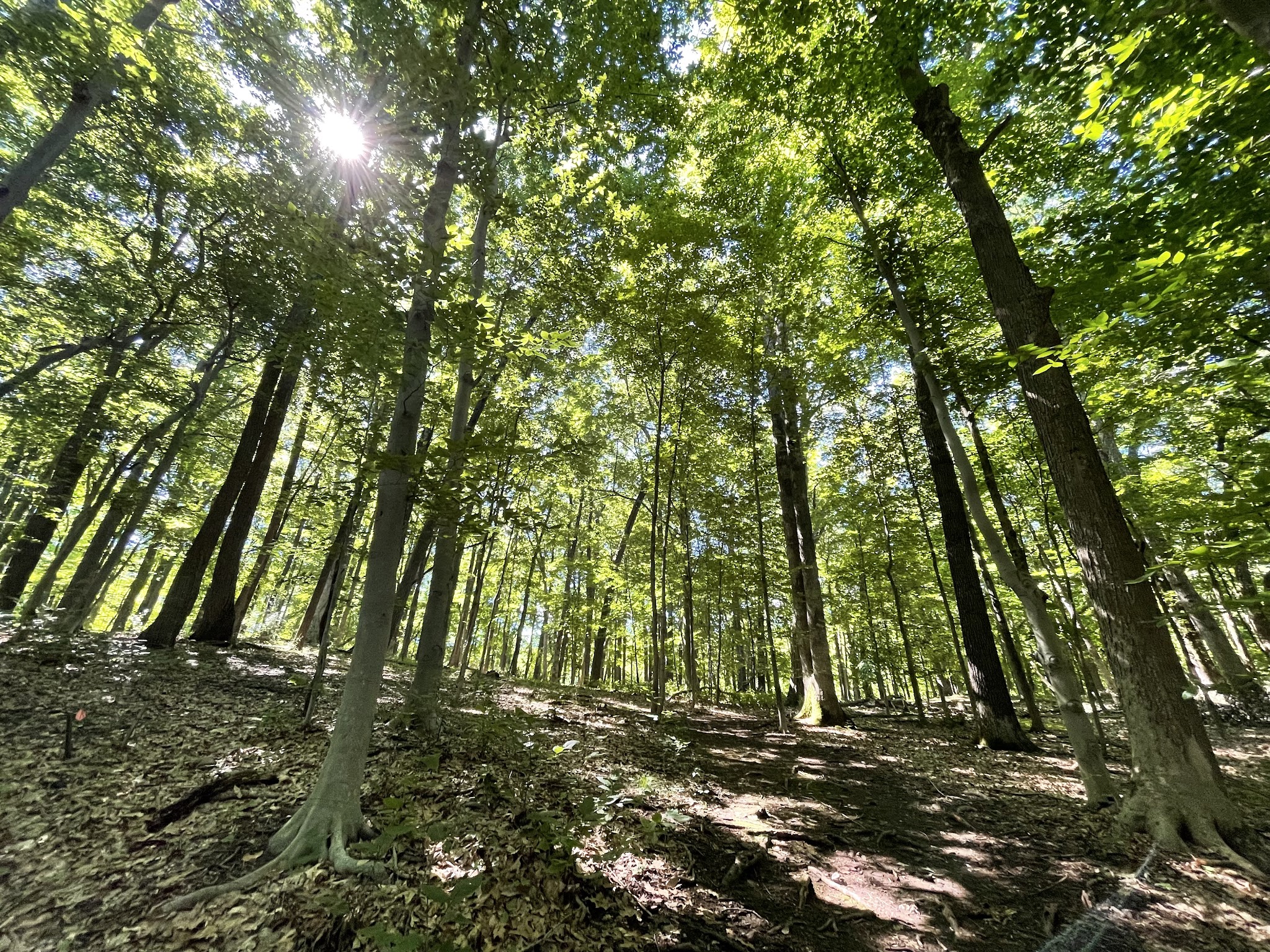 Heritage Conservancy Fuller Preserve Jere Knight Nature Trail - Riegelsville, PA
