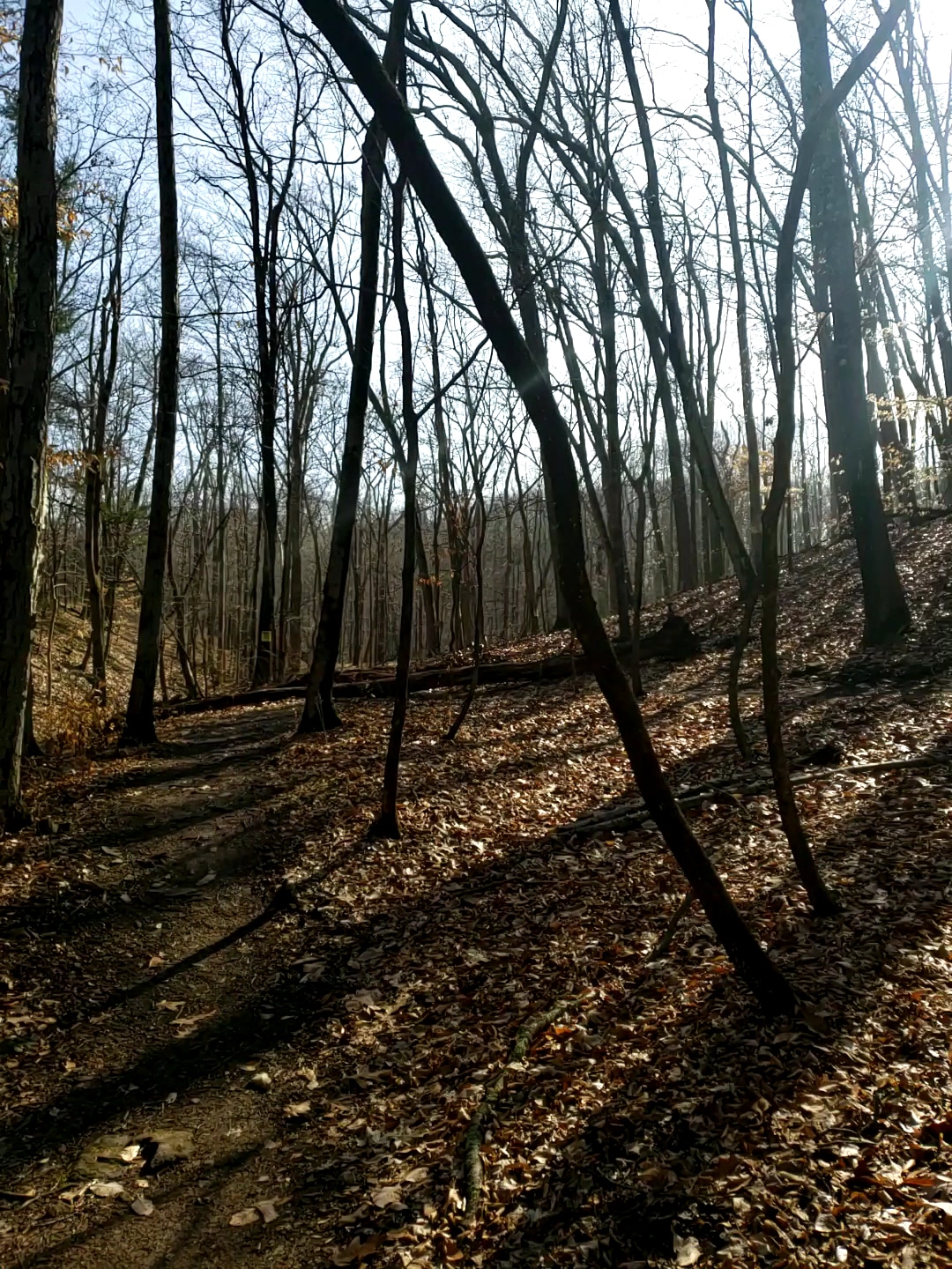 Heritage Conservancy Fuller Preserve Jere Knight Nature Trail - Riegelsville, PA