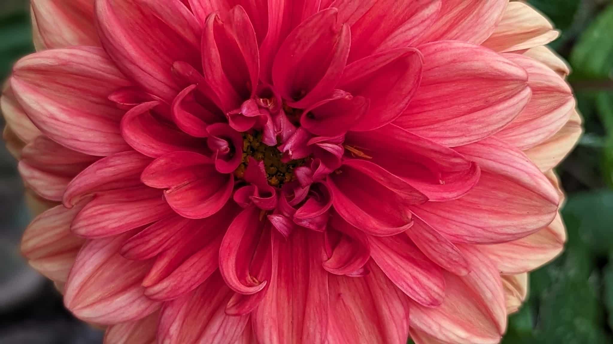 Riegelsville Walking/Bike Trail - Riegelsville, PA