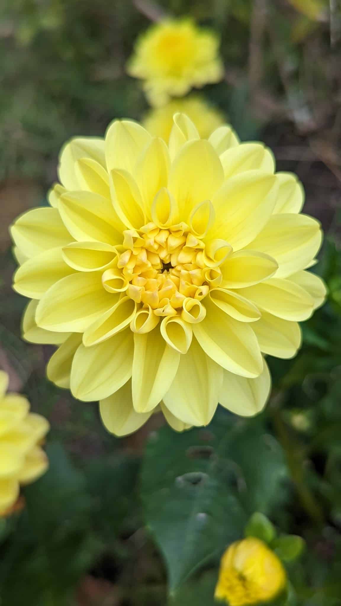 Riegelsville Walking/Bike Trail - Riegelsville, PA