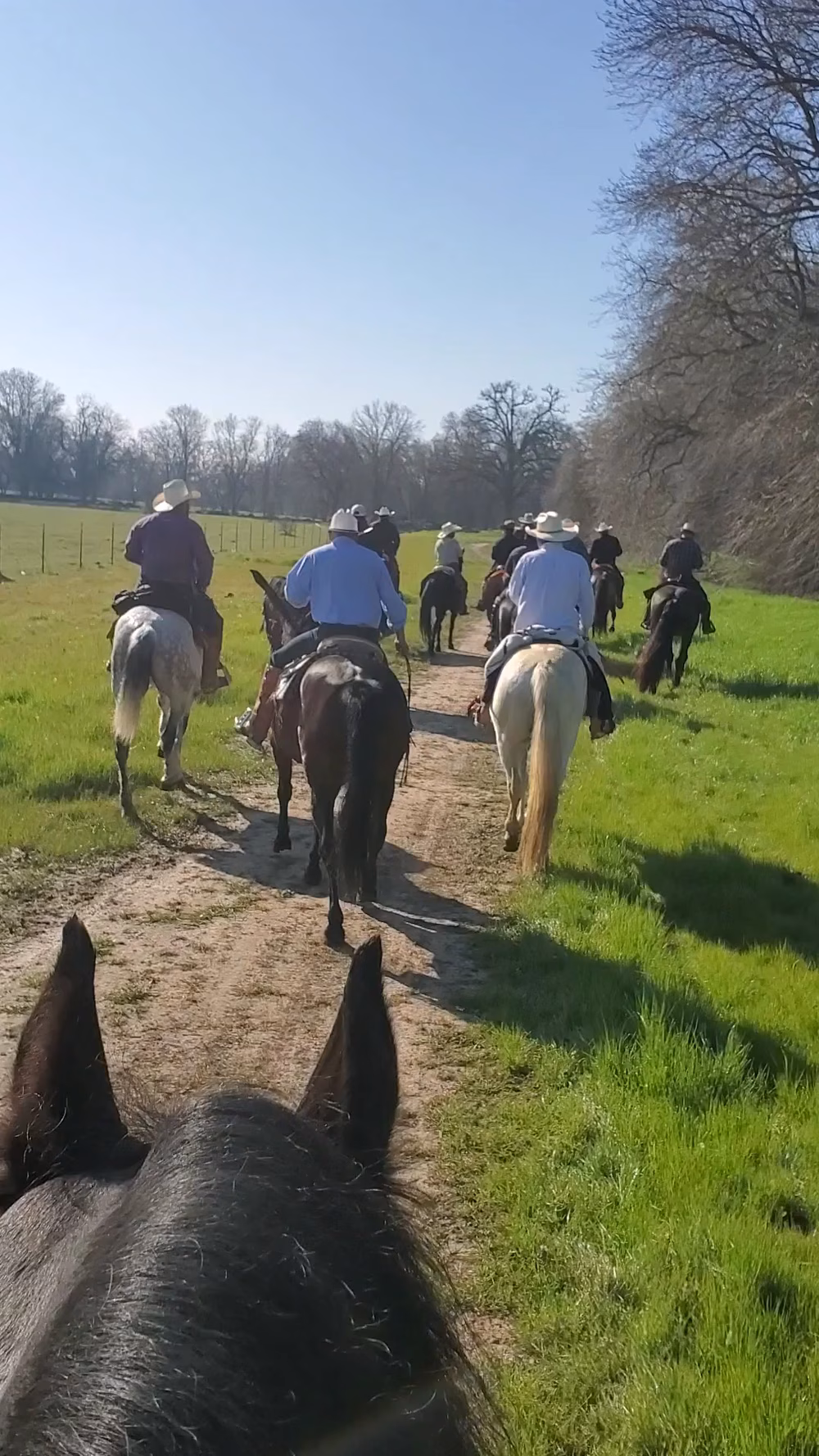 Rio Linda Central Park - Rio Linda, CA