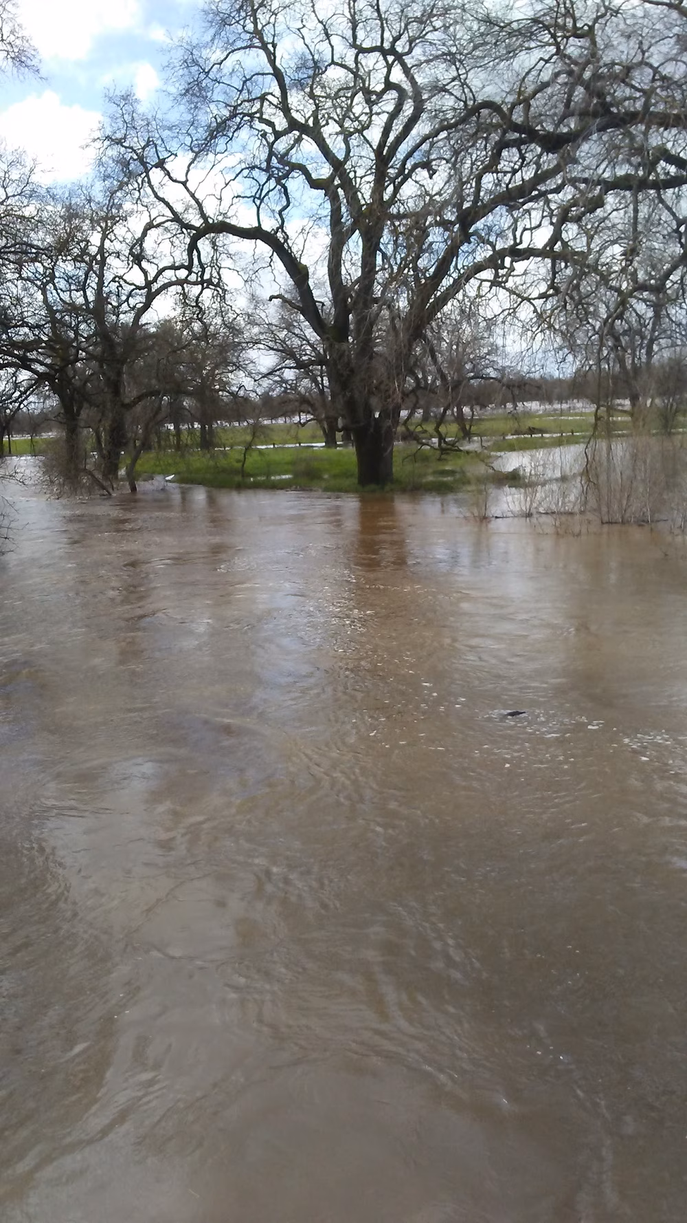 Roy Hayer Park - Rio Linda, CA