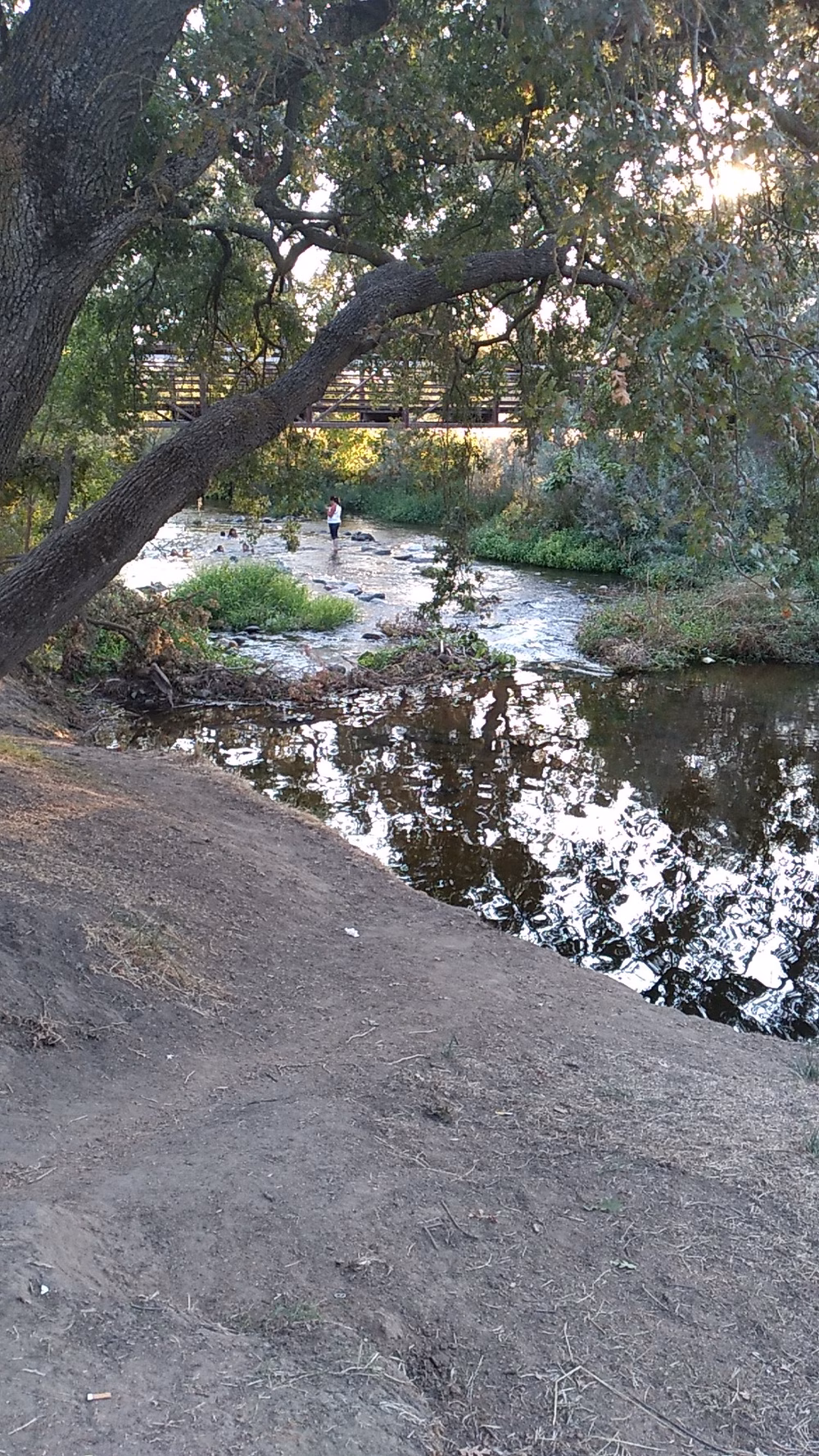 Roy Hayer Park - Rio Linda, CA