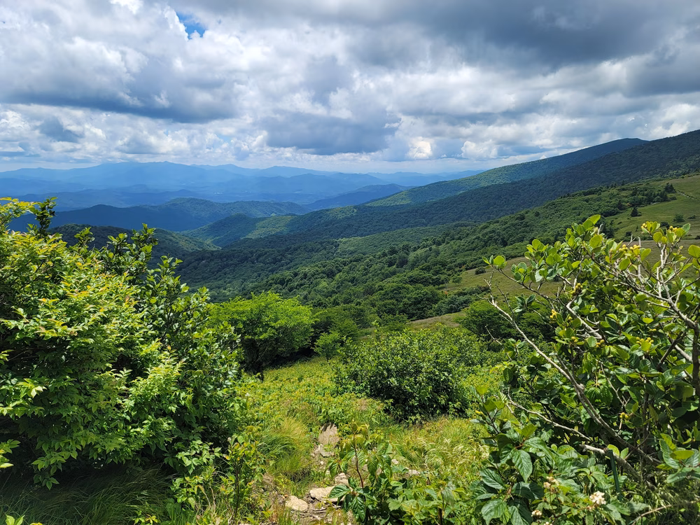 Roan Mountain State Park - Roan Mountain, TN
