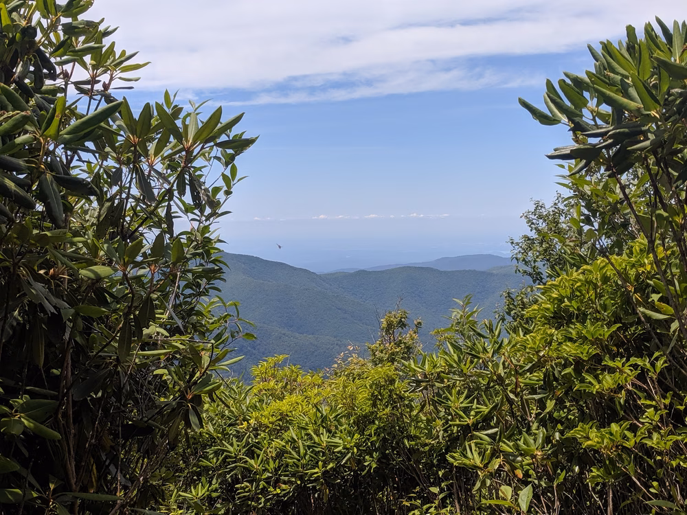 Joyce Kilmer-Slickrock Wilderness - Robbinsville, NC