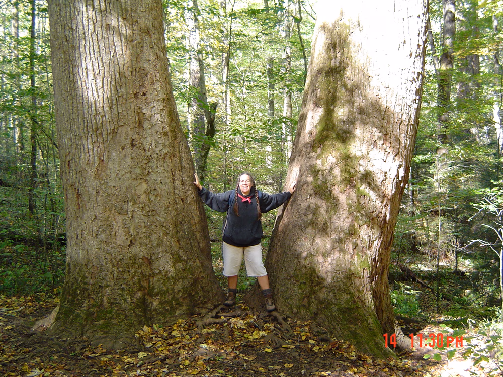 Joyce Kilmer-Slickrock Wilderness - Robbinsville, NC