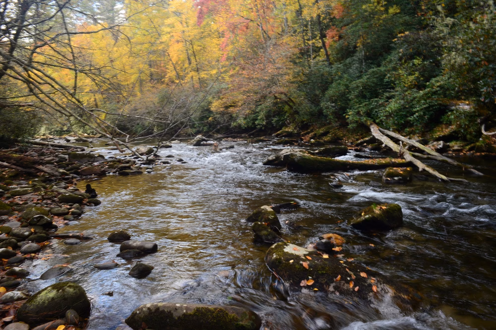 Rattler Ford Campground, Cheoah Ranger District, Nantahala National Forest - Robbinsville, NC