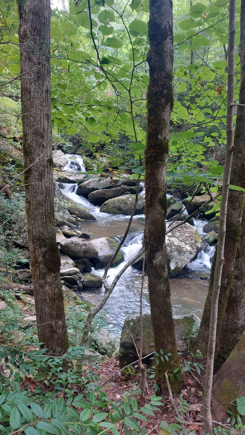 Yellow Creek Falls - Robbinsville, NC
