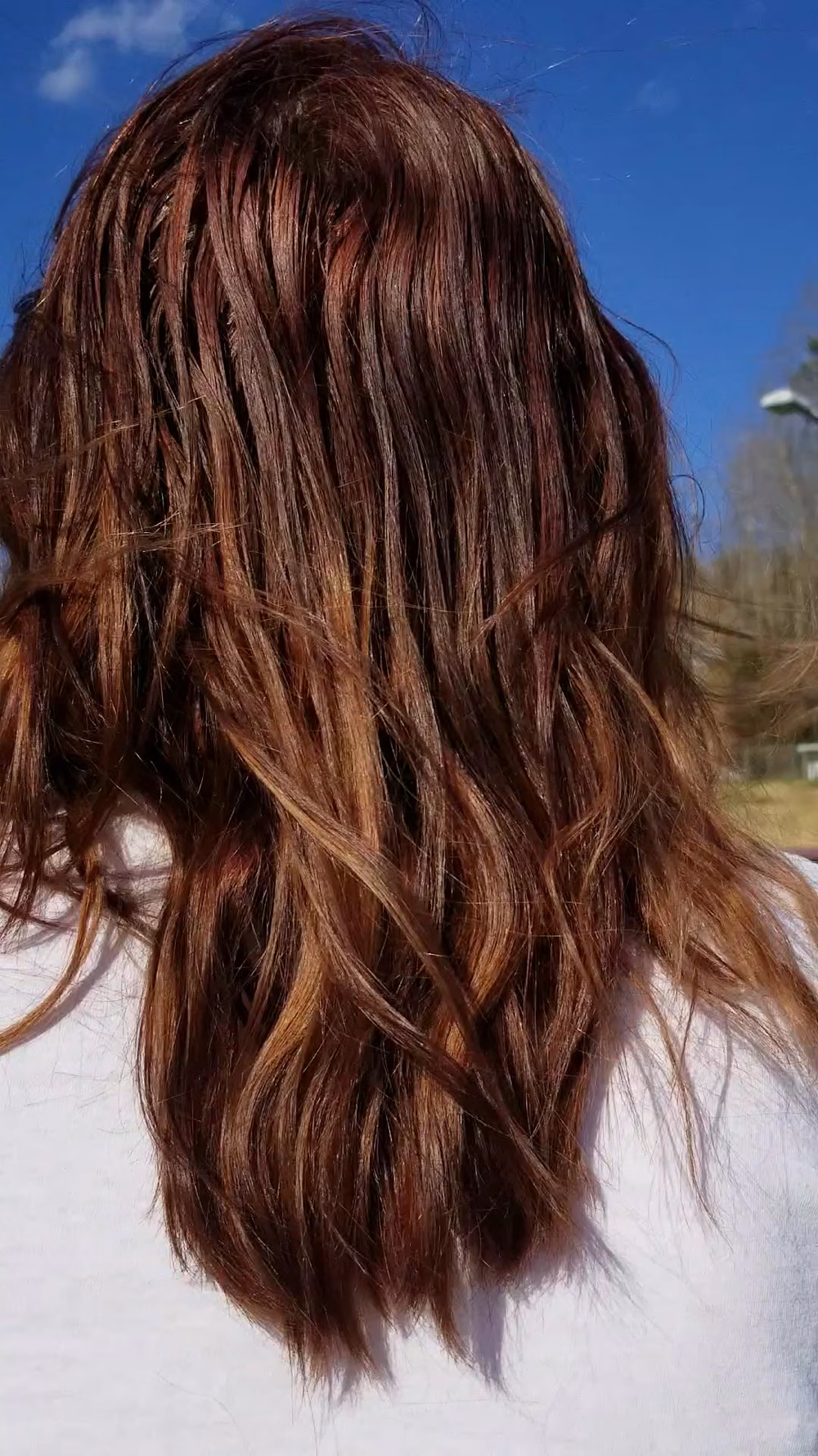 Norris Dam State Park - Rocky Top, TN