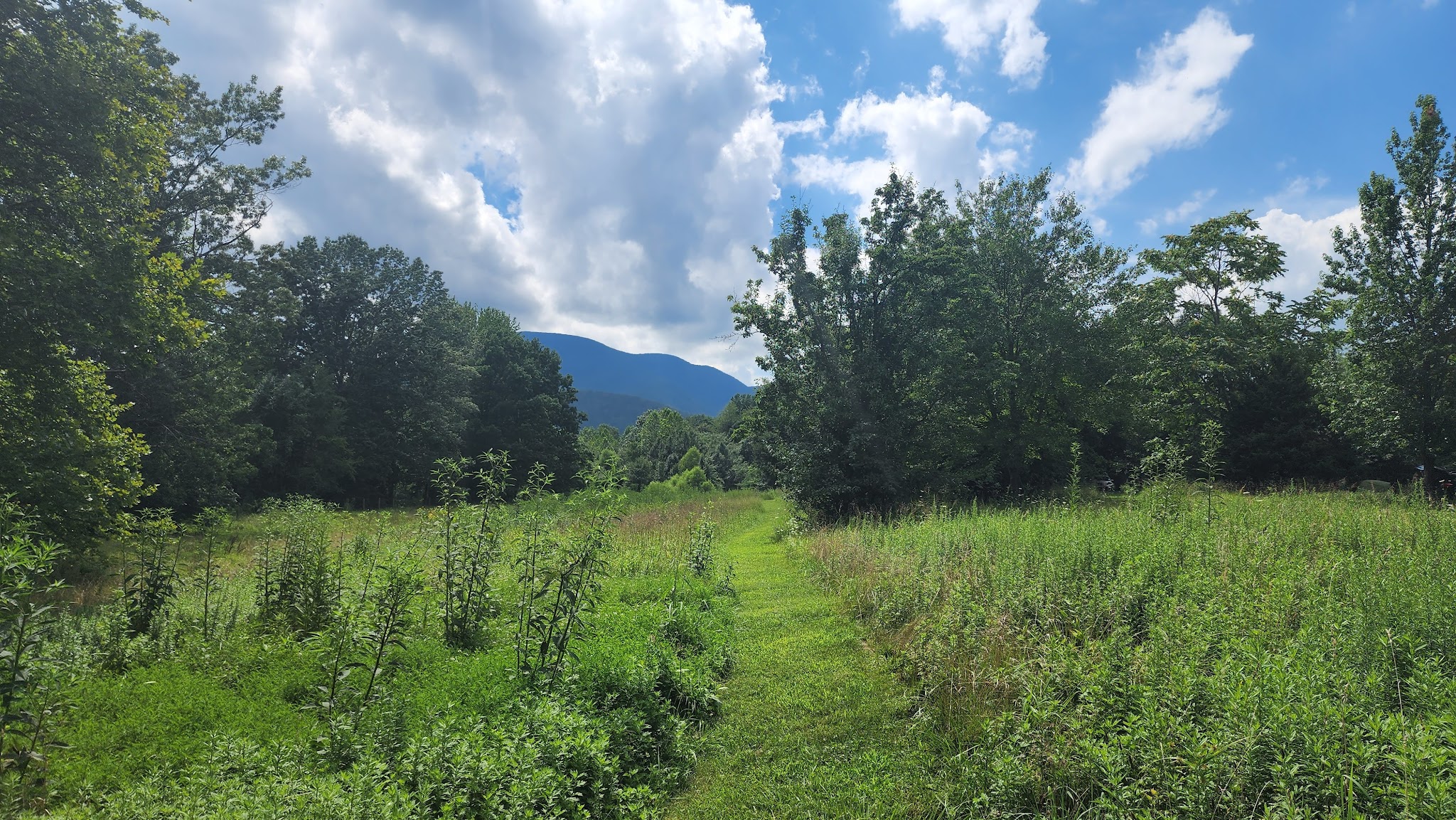 Devils Backbone Three Ridges Haven - Roseland, VA
