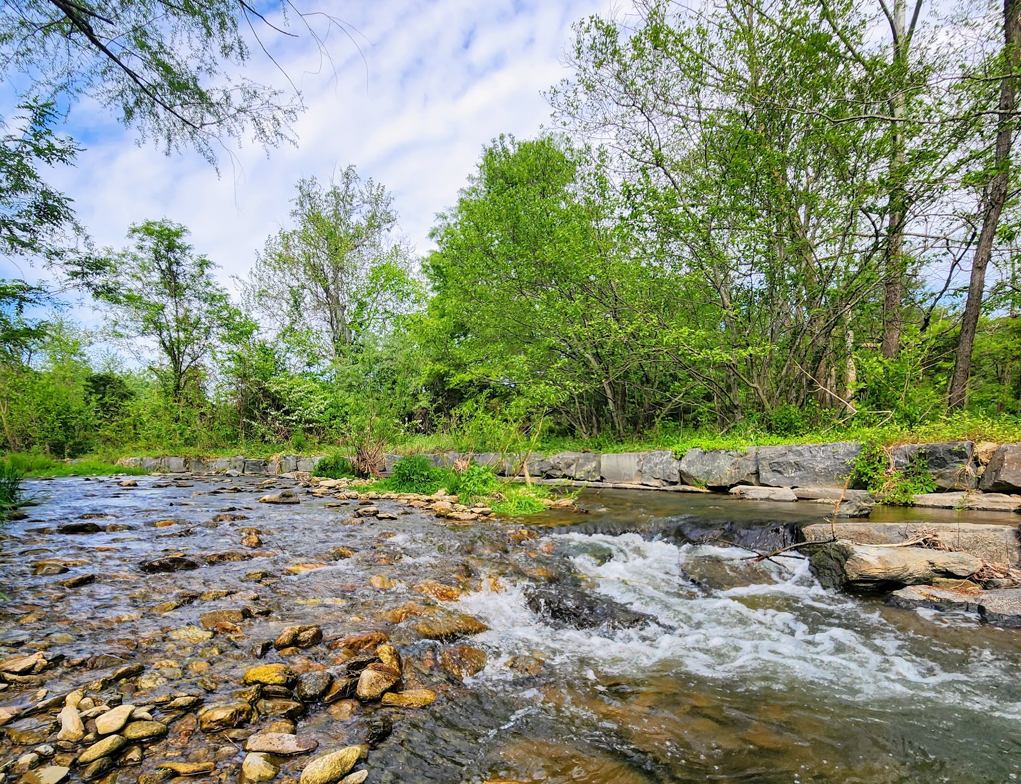 Rockfish Valley Trail - Roseland, VA