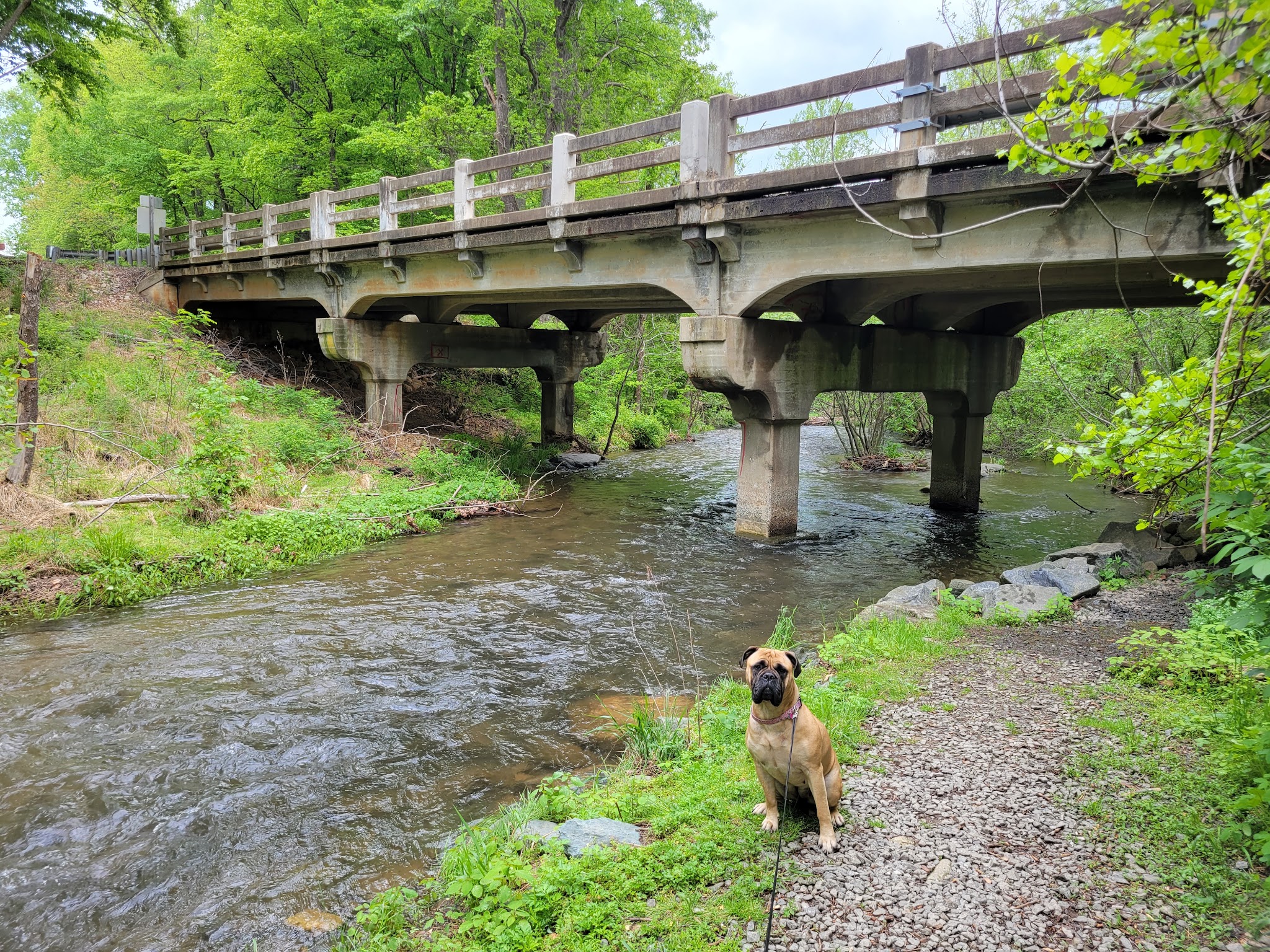 Rockfish Valley Trail - Roseland, VA