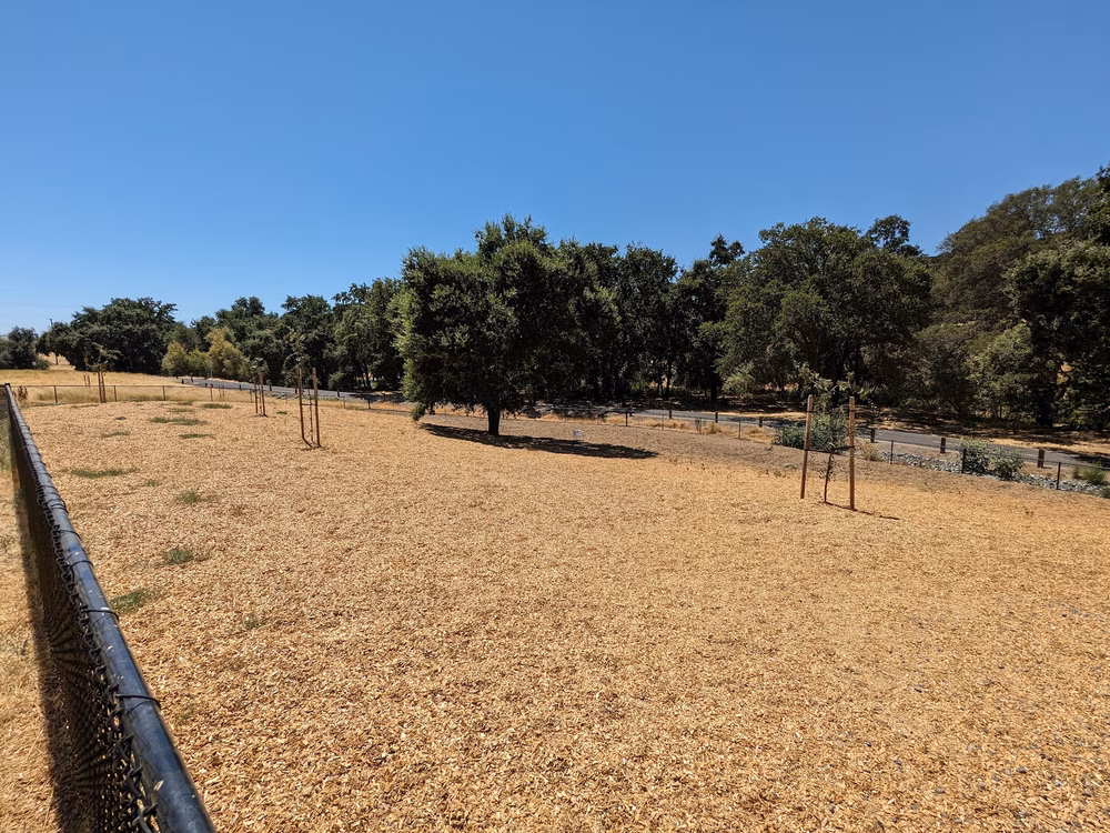 Apollo Dog Park - Roseville, CA