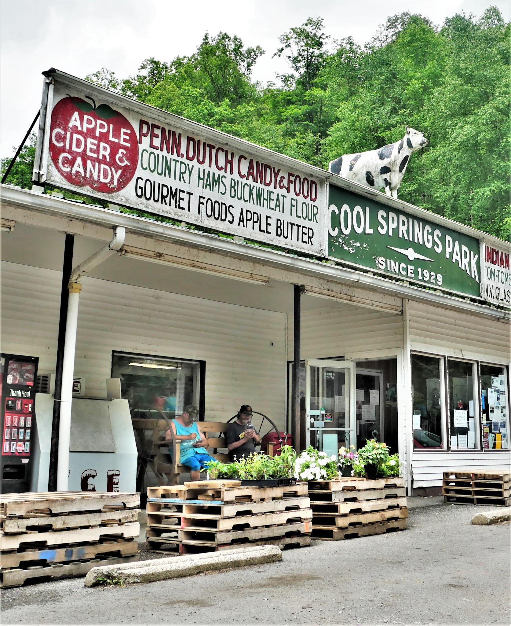 Cool Springs Park - Rowlesburg, WV