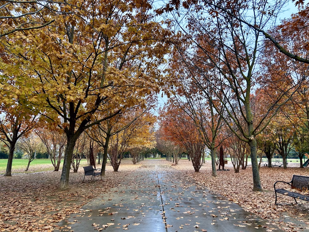 Manuel J. Barandas Park - Sacramento, CA
