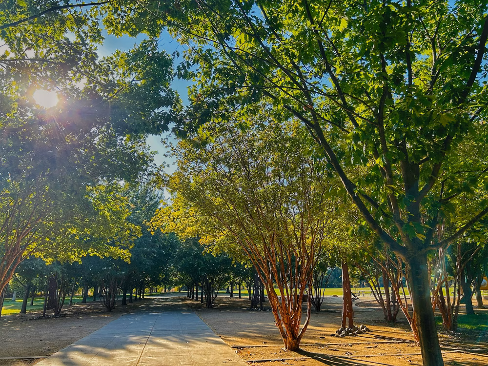 Manuel J. Barandas Park - Sacramento, CA