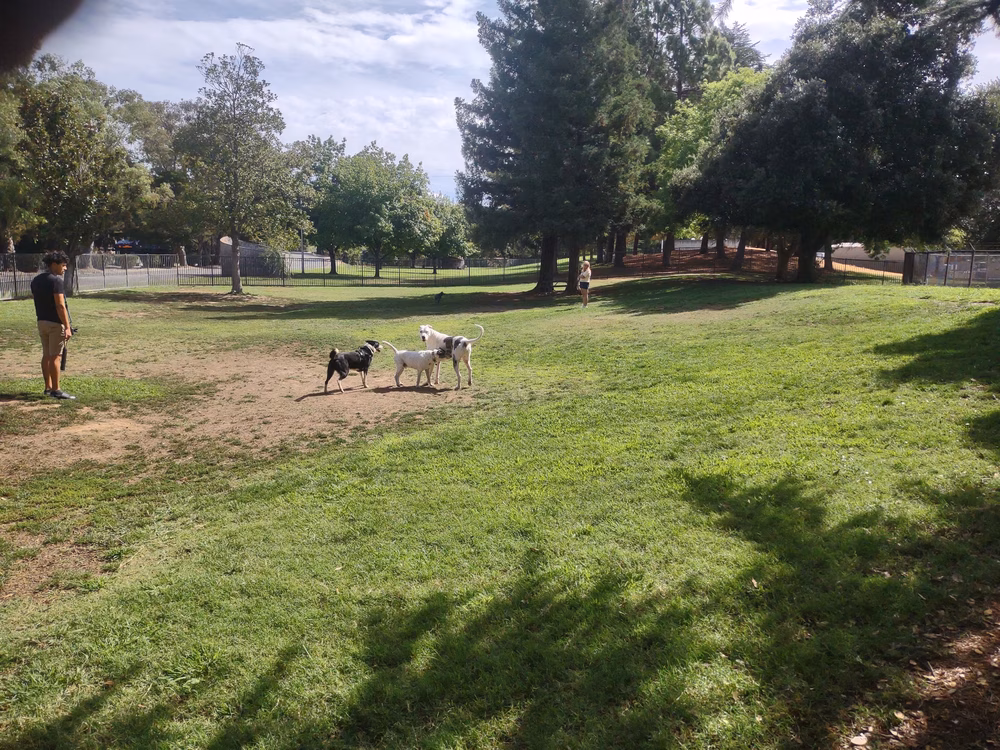 Partner Park Dog Park - Sacramento, CA