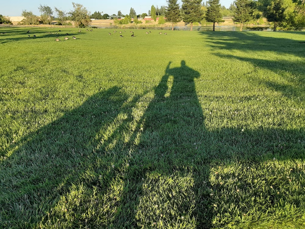 Tanzanite Dog Park - Sacramento, CA