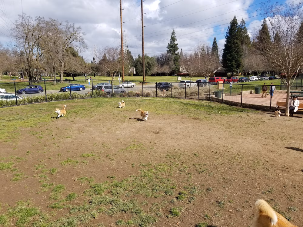 University Park Dog Park - Sacramento, CA