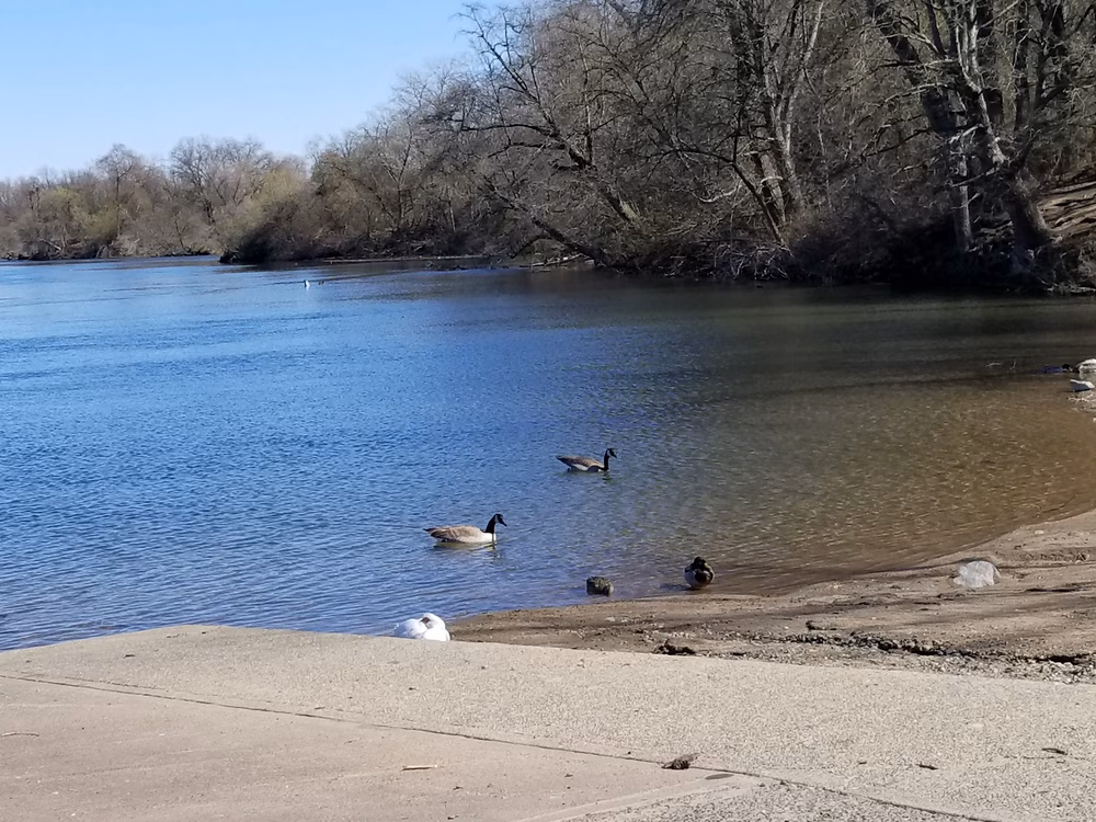 University Park Dog Park - Sacramento, CA