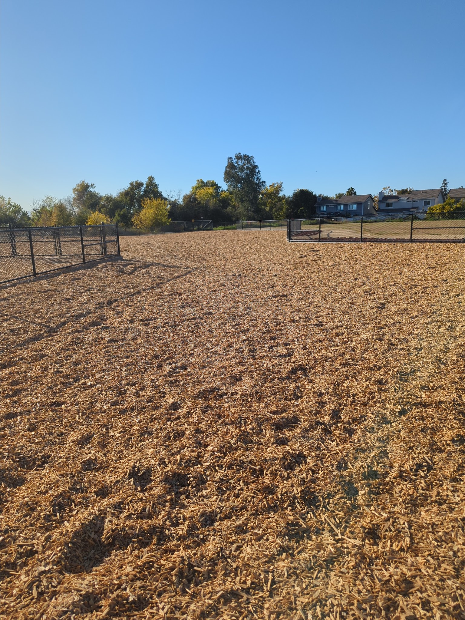 Bruzzone Dog Park - San Jose, CA