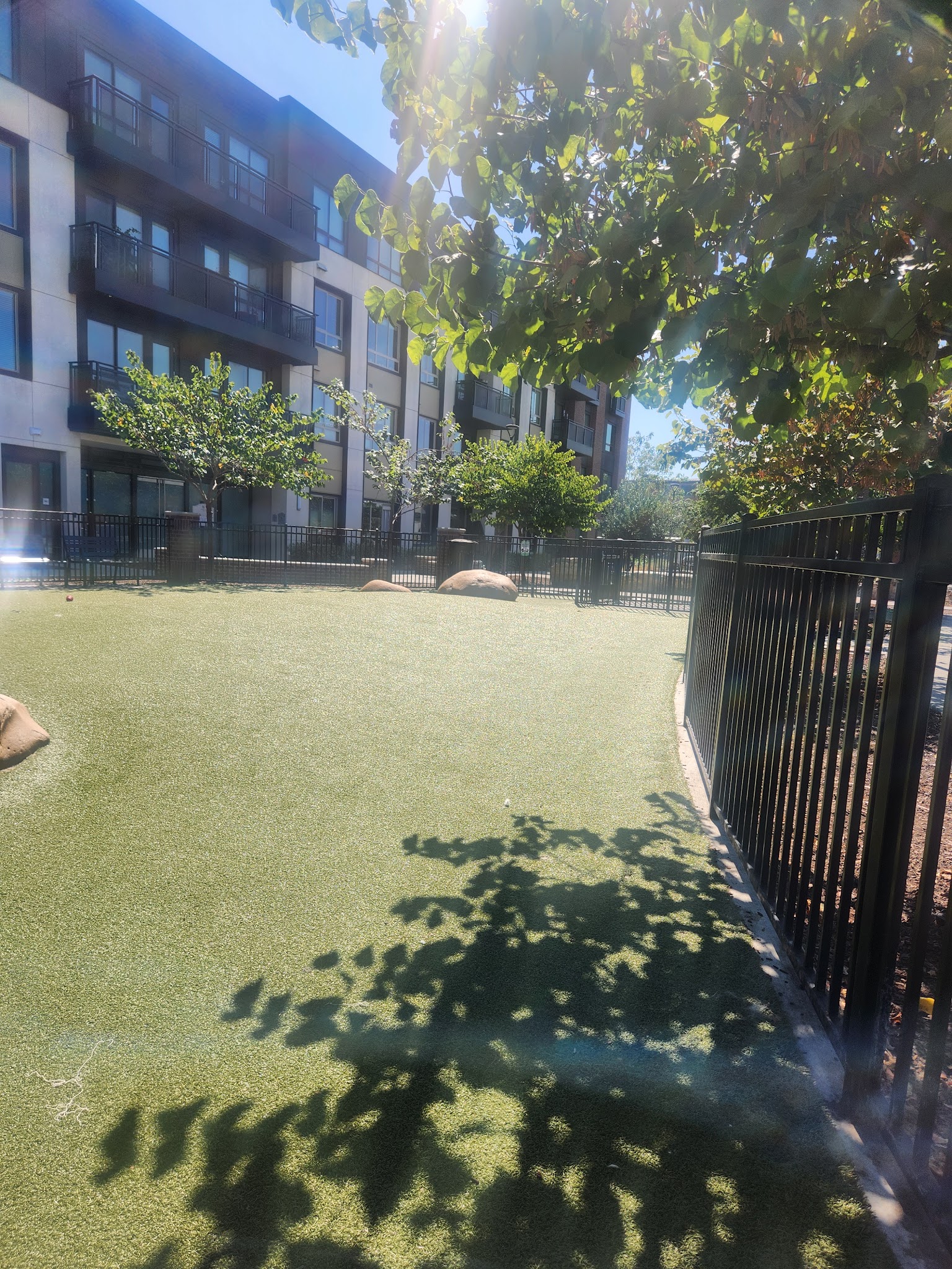 Cannery Park - San Jose, CA