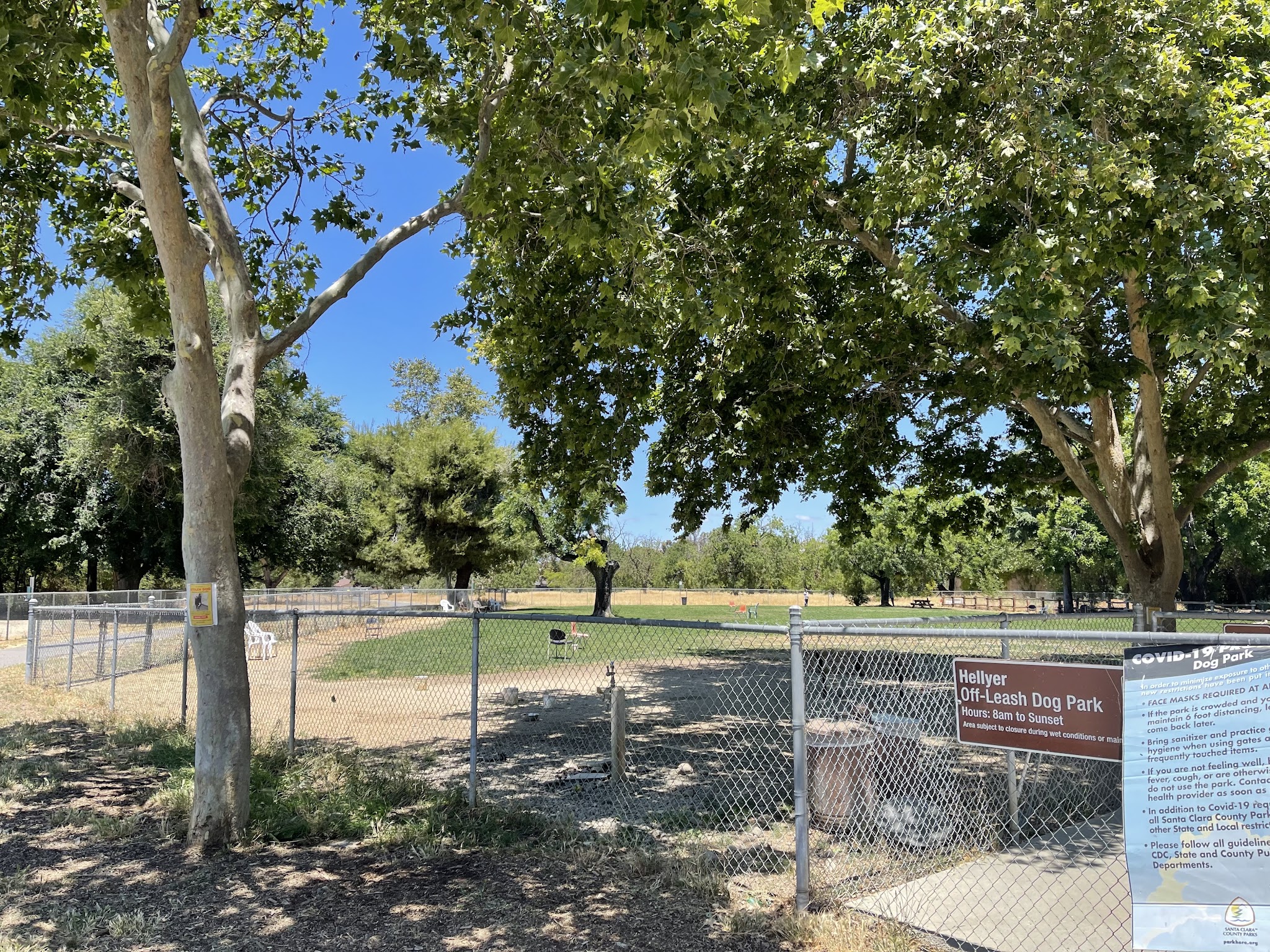 Dog Park at Hellyer County Park - San Jose, CA