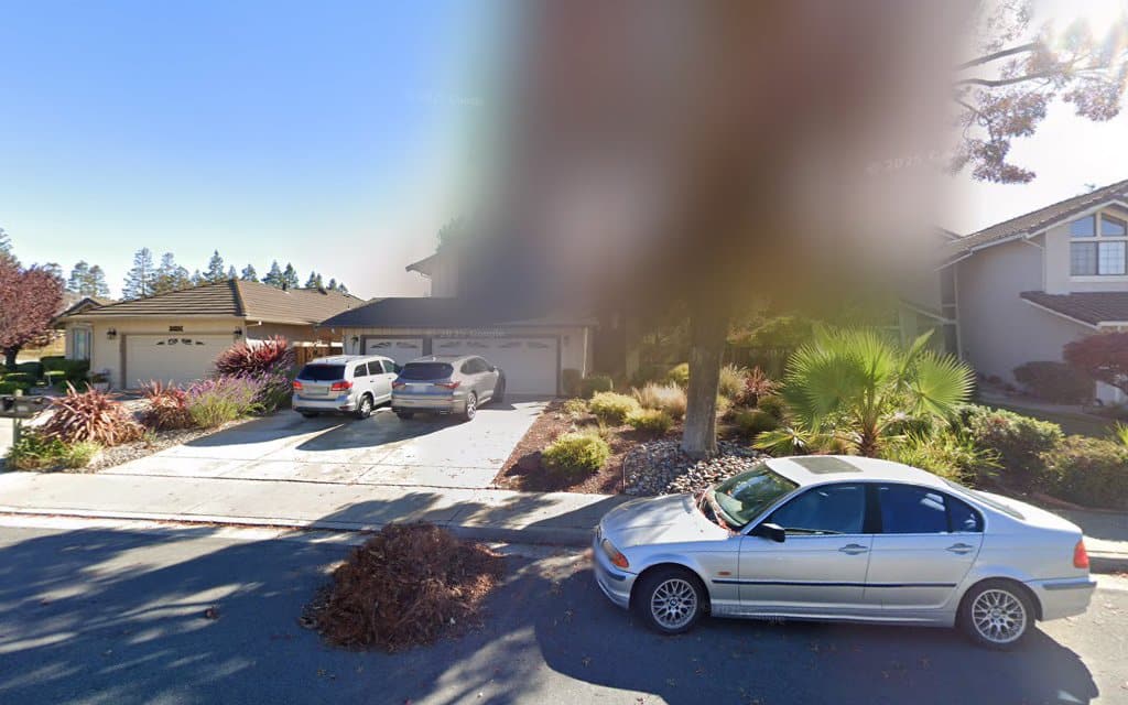 Dogsaxis - San Jose, CA