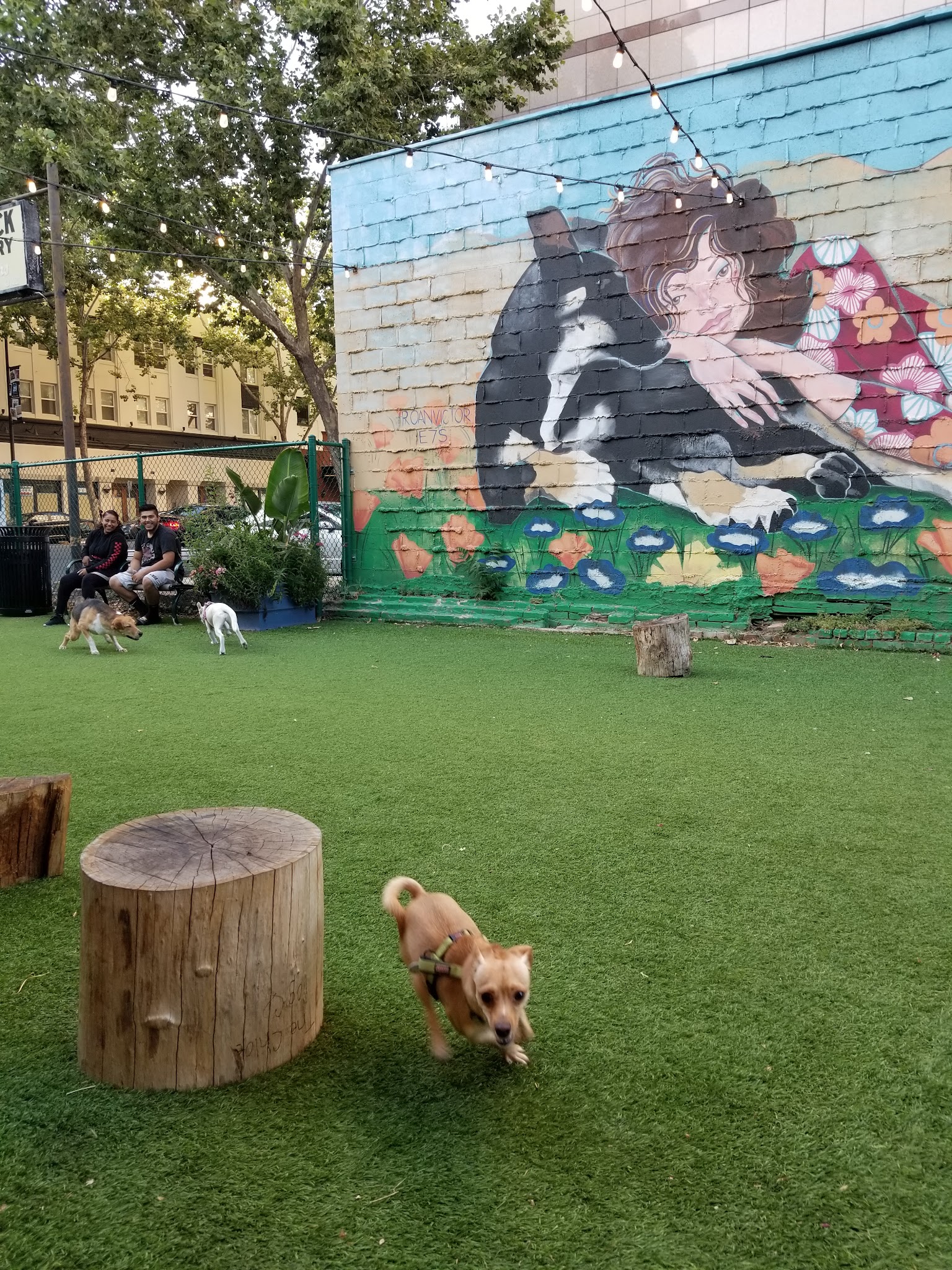 Hart's Dog Park - San Jose, CA