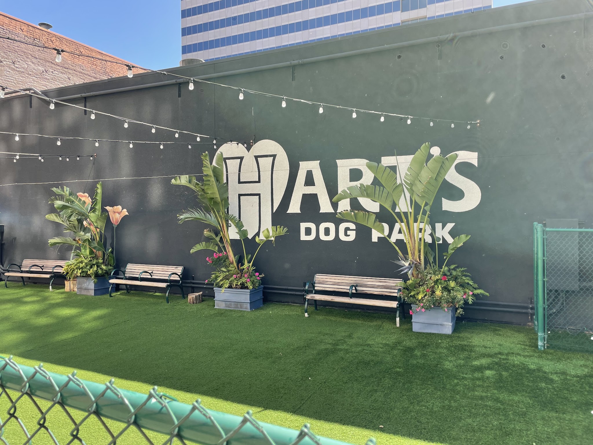 Hart's Dog Park - San Jose, CA