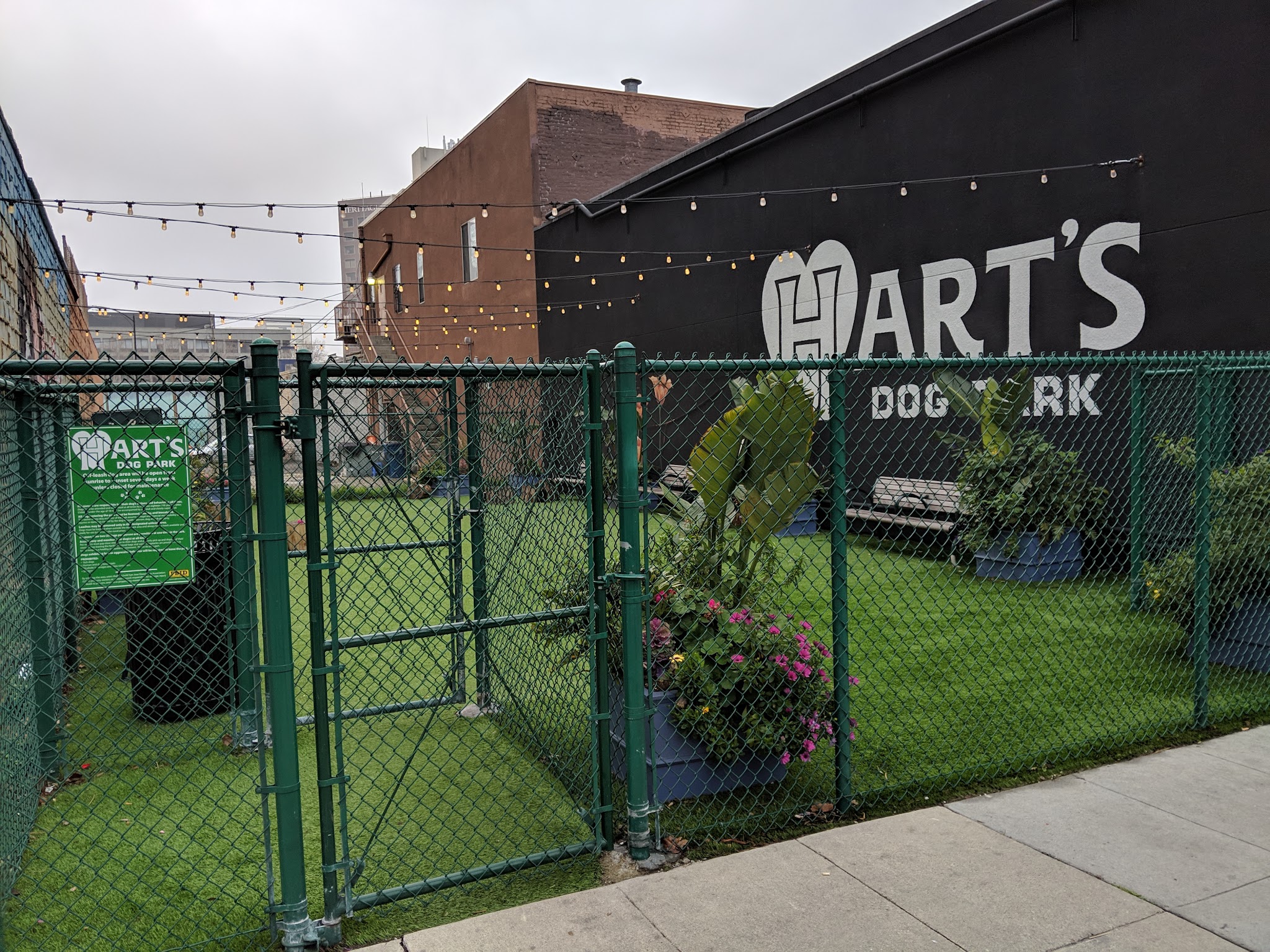 Hart's Dog Park - San Jose, CA