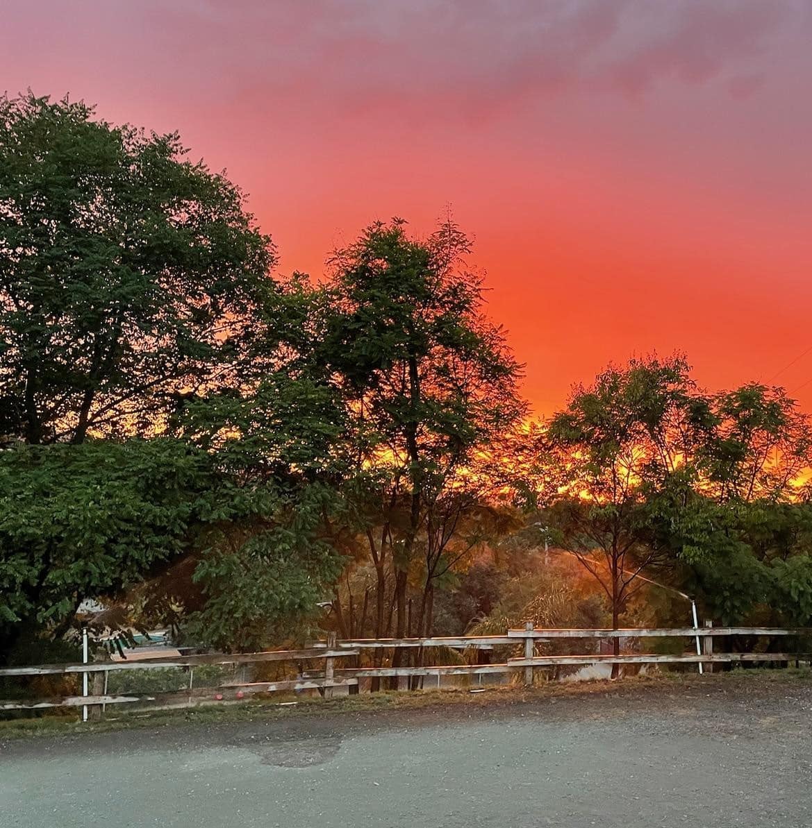 Hillside Meadow Sniff Spot - Off leash private dog park - San Jose, CA