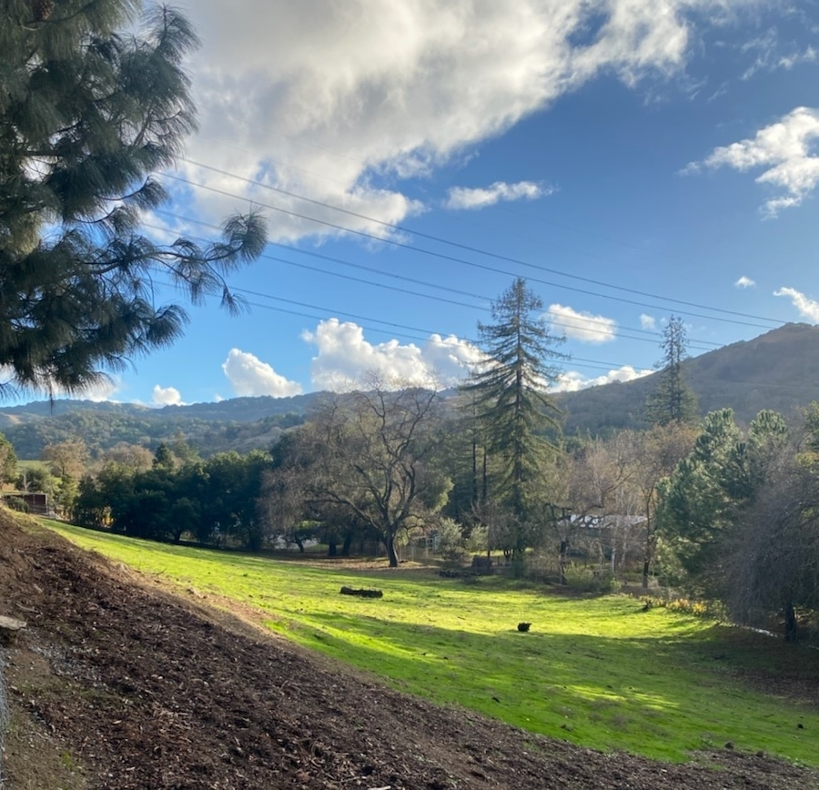 Hillside Meadow Sniff Spot - Off leash private dog park - San Jose, CA